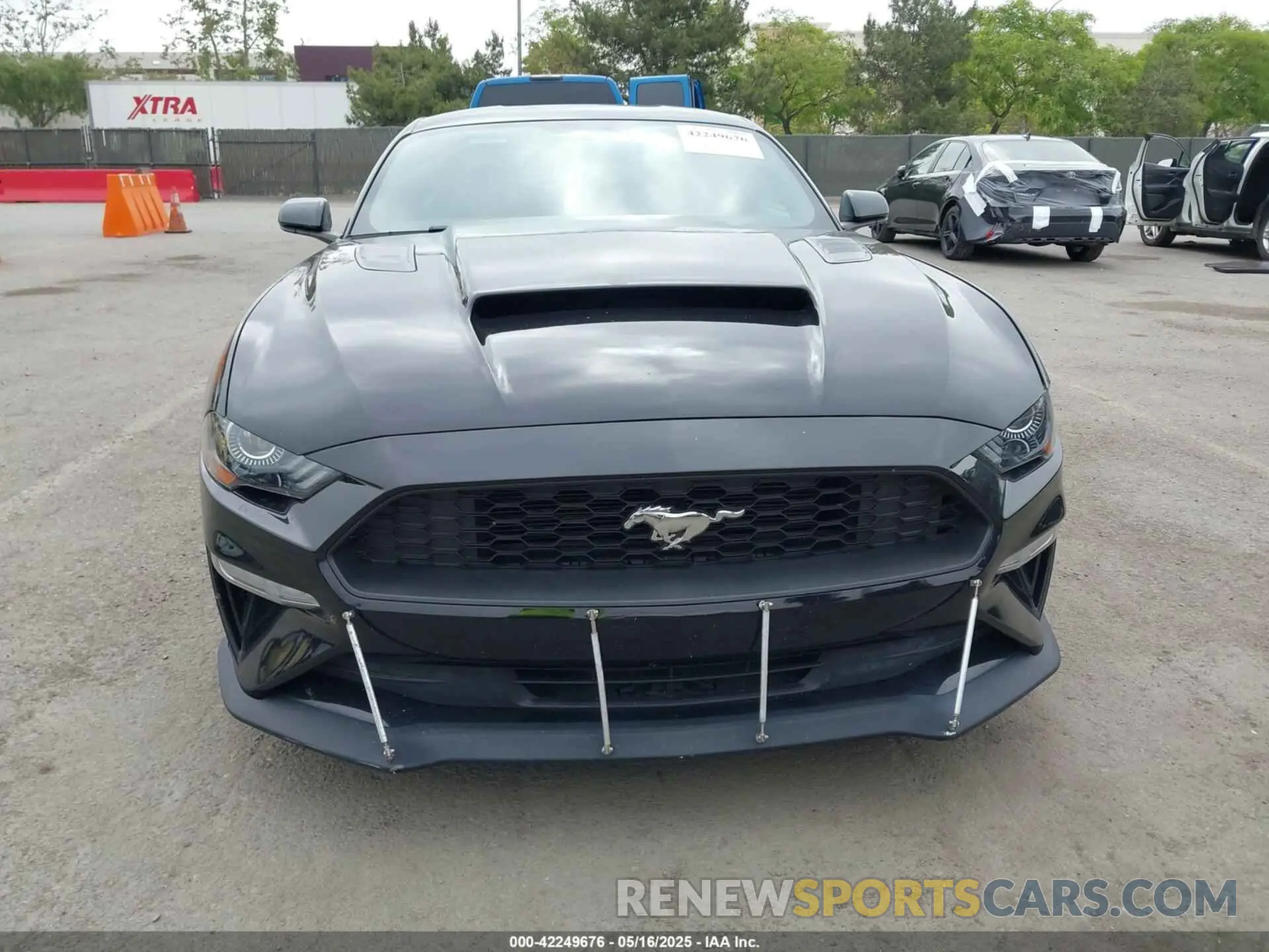 12 fotografías del automóvil dañado 1FA6P8TH5K5196535 FORD MUSTANG 2019