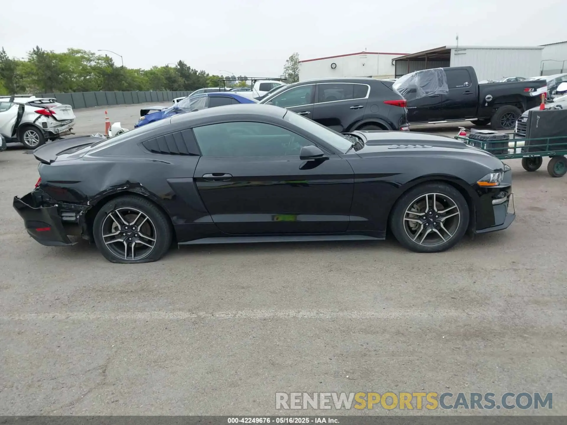 13 fotografías del automóvil dañado 1FA6P8TH5K5196535 FORD MUSTANG 2019