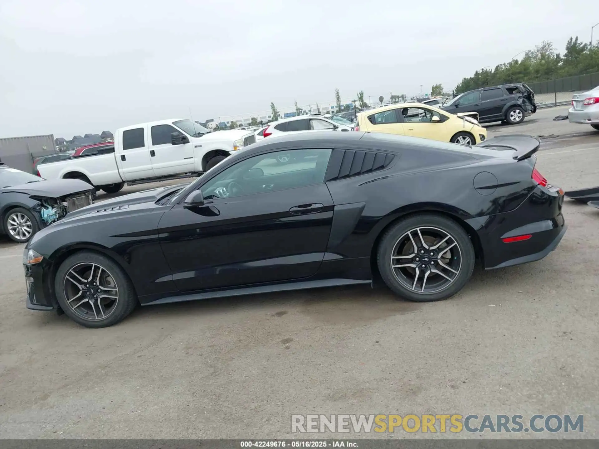 14 fotografías del automóvil dañado 1FA6P8TH5K5196535 FORD MUSTANG 2019