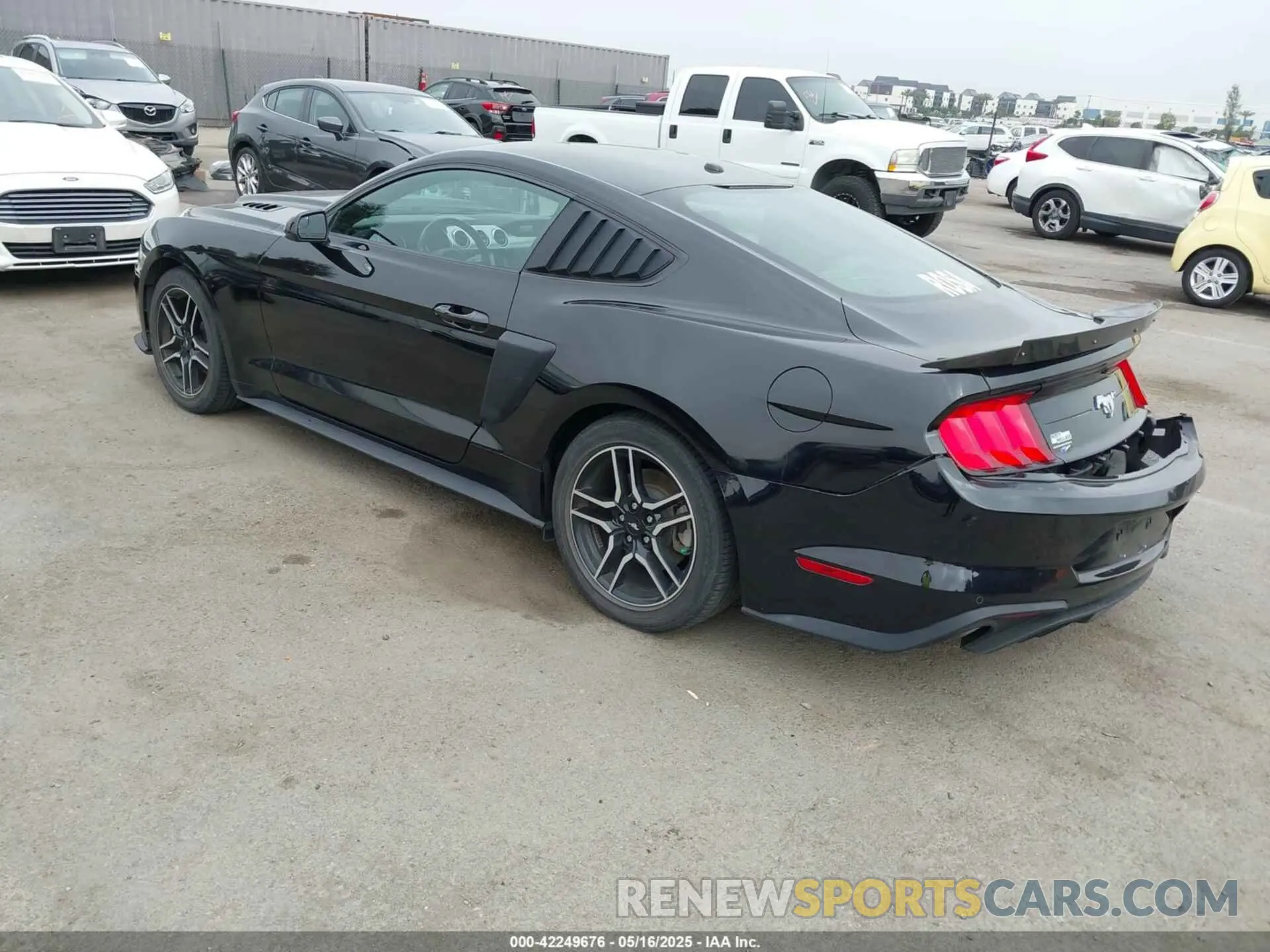 3 fotografías del automóvil dañado 1FA6P8TH5K5196535 FORD MUSTANG 2019