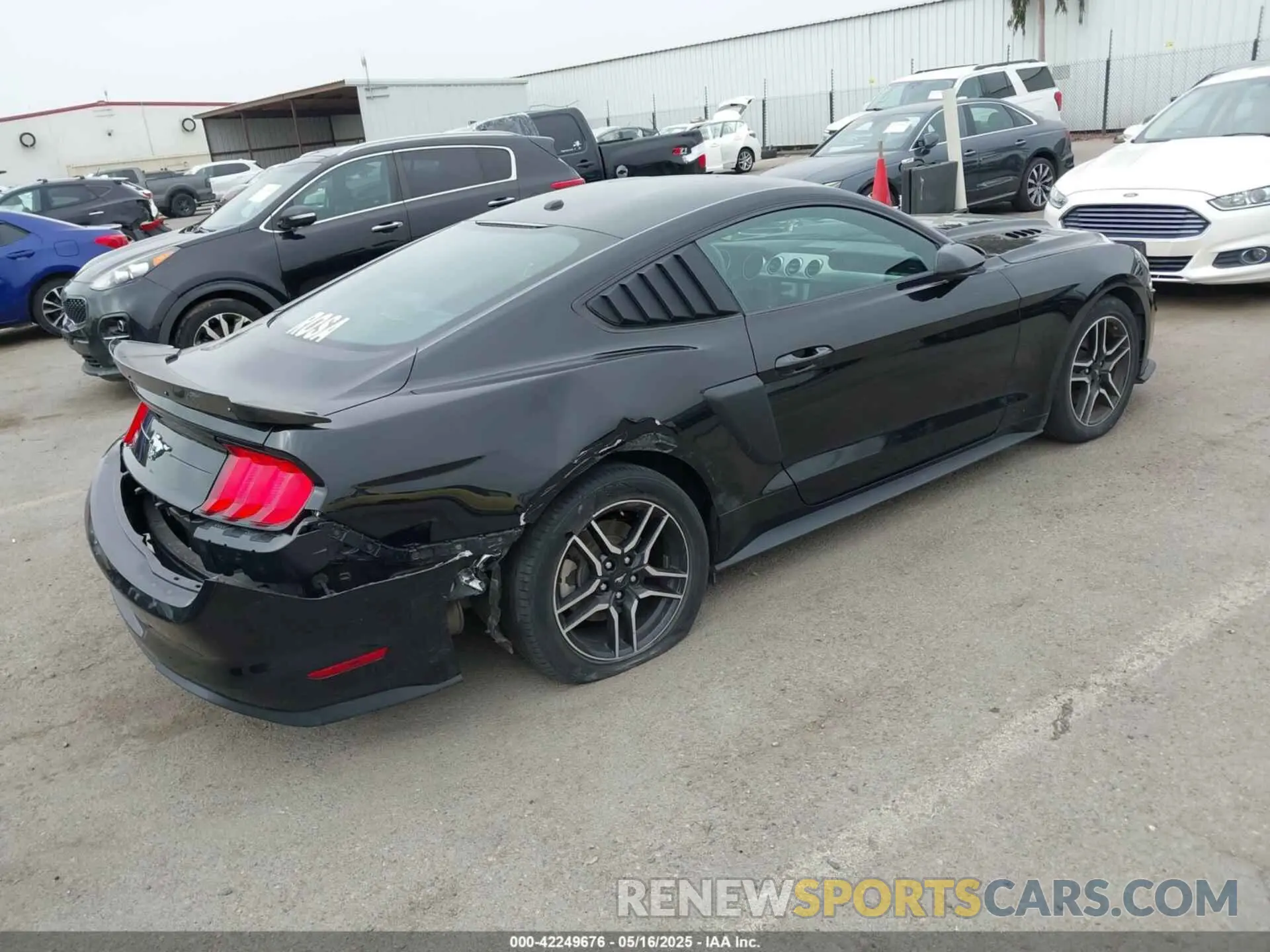 4 fotografías del automóvil dañado 1FA6P8TH5K5196535 FORD MUSTANG 2019