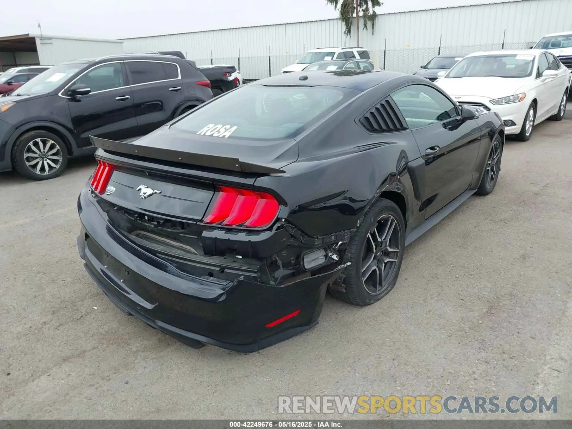 6 fotografías del automóvil dañado 1FA6P8TH5K5196535 FORD MUSTANG 2019