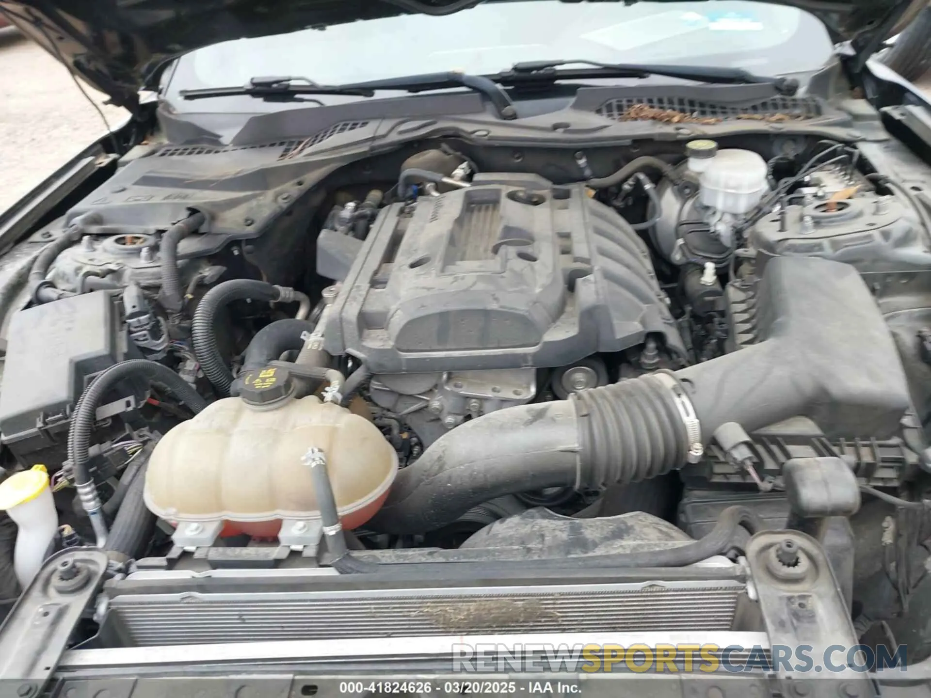 10 fotografías del automóvil dañado 1FA6P8TH6K5166654 FORD MUSTANG 2019