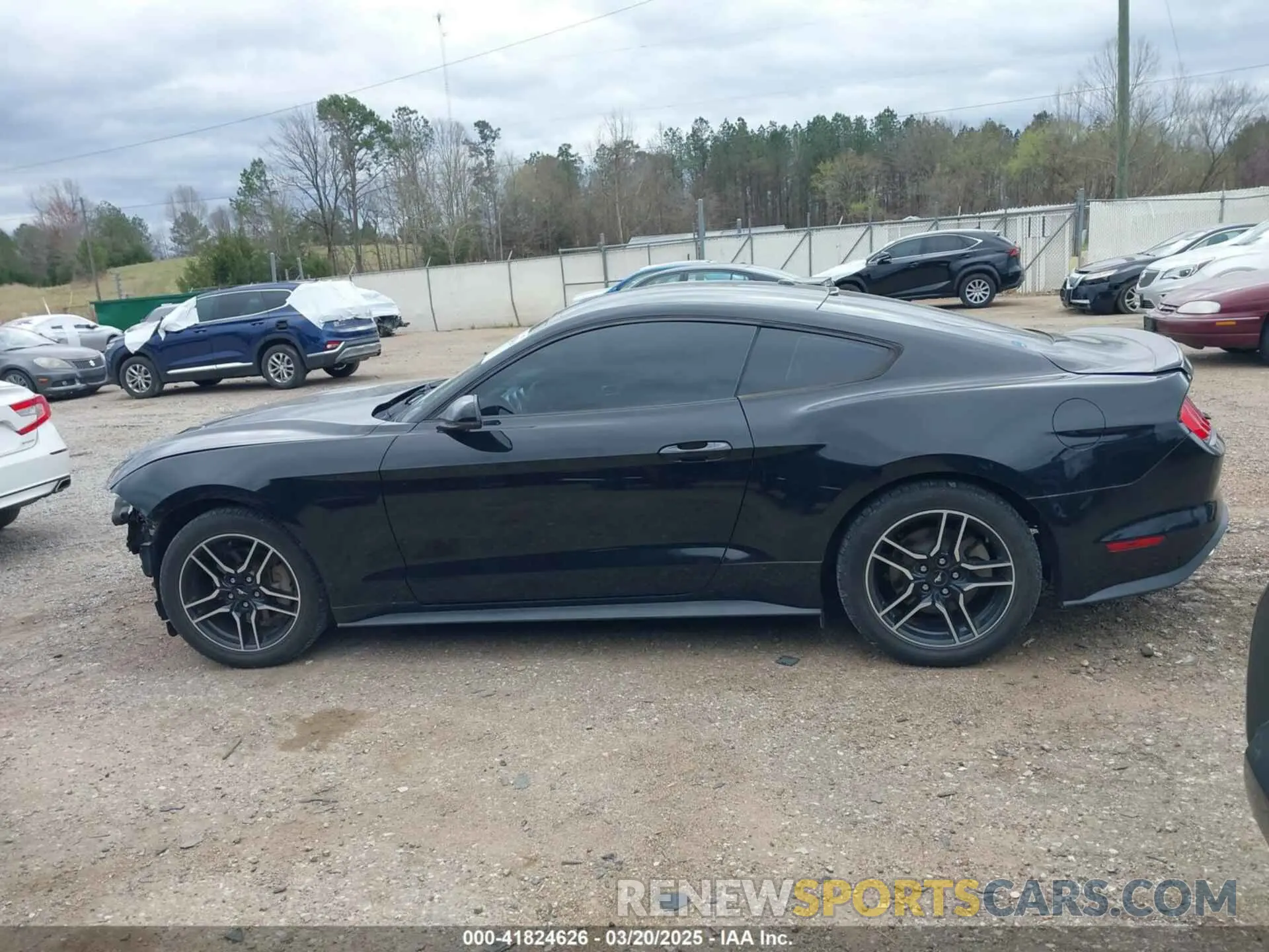 15 fotografías del automóvil dañado 1FA6P8TH6K5166654 FORD MUSTANG 2019