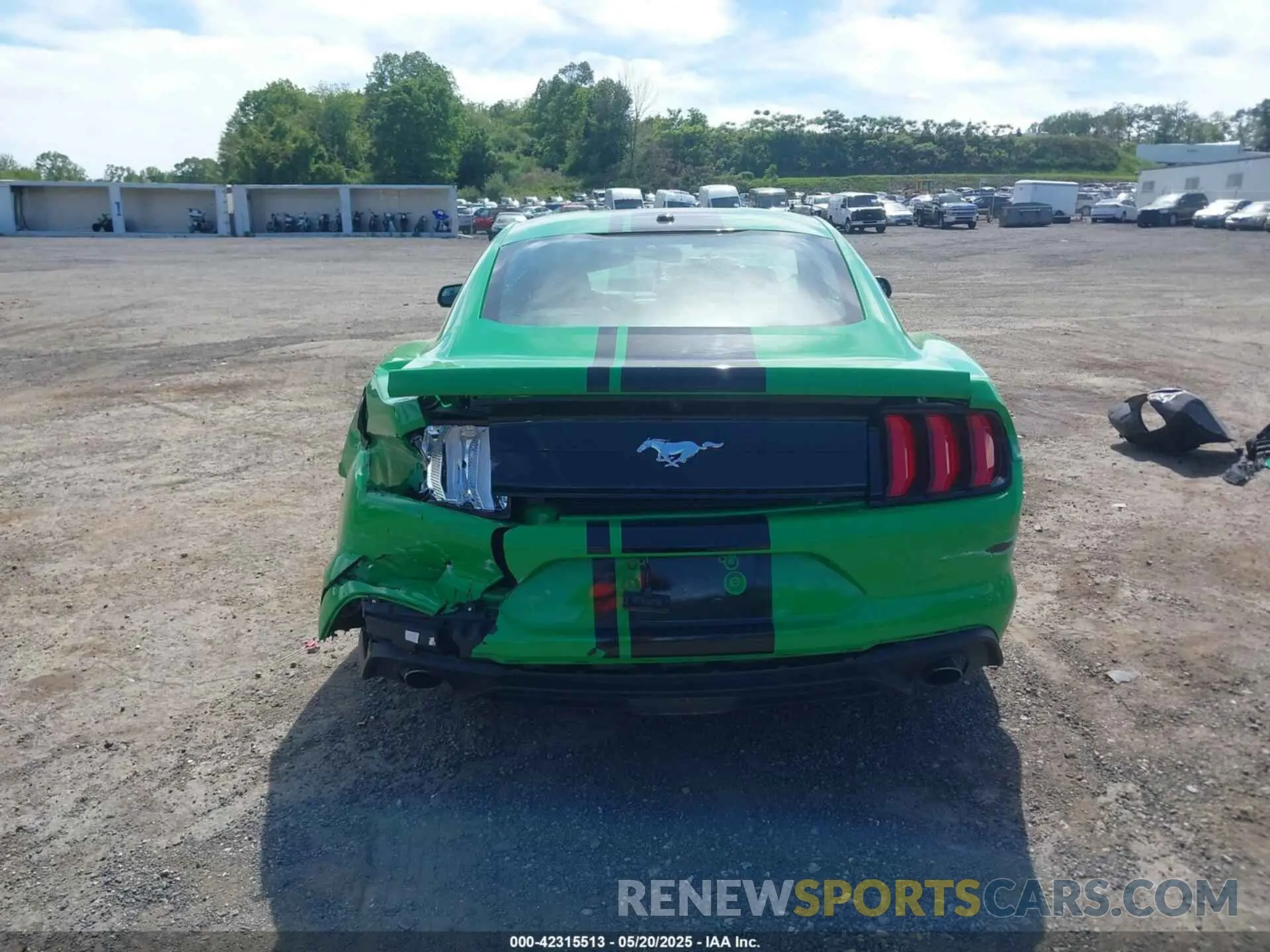 16 fotografías del automóvil dañado 1FA6P8TH6K5198844 FORD MUSTANG 2019