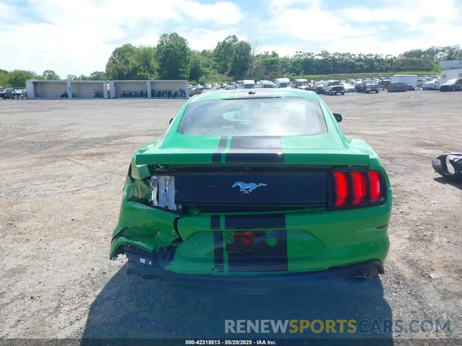 17 fotografías del automóvil dañado 1FA6P8TH6K5198844 FORD MUSTANG 2019