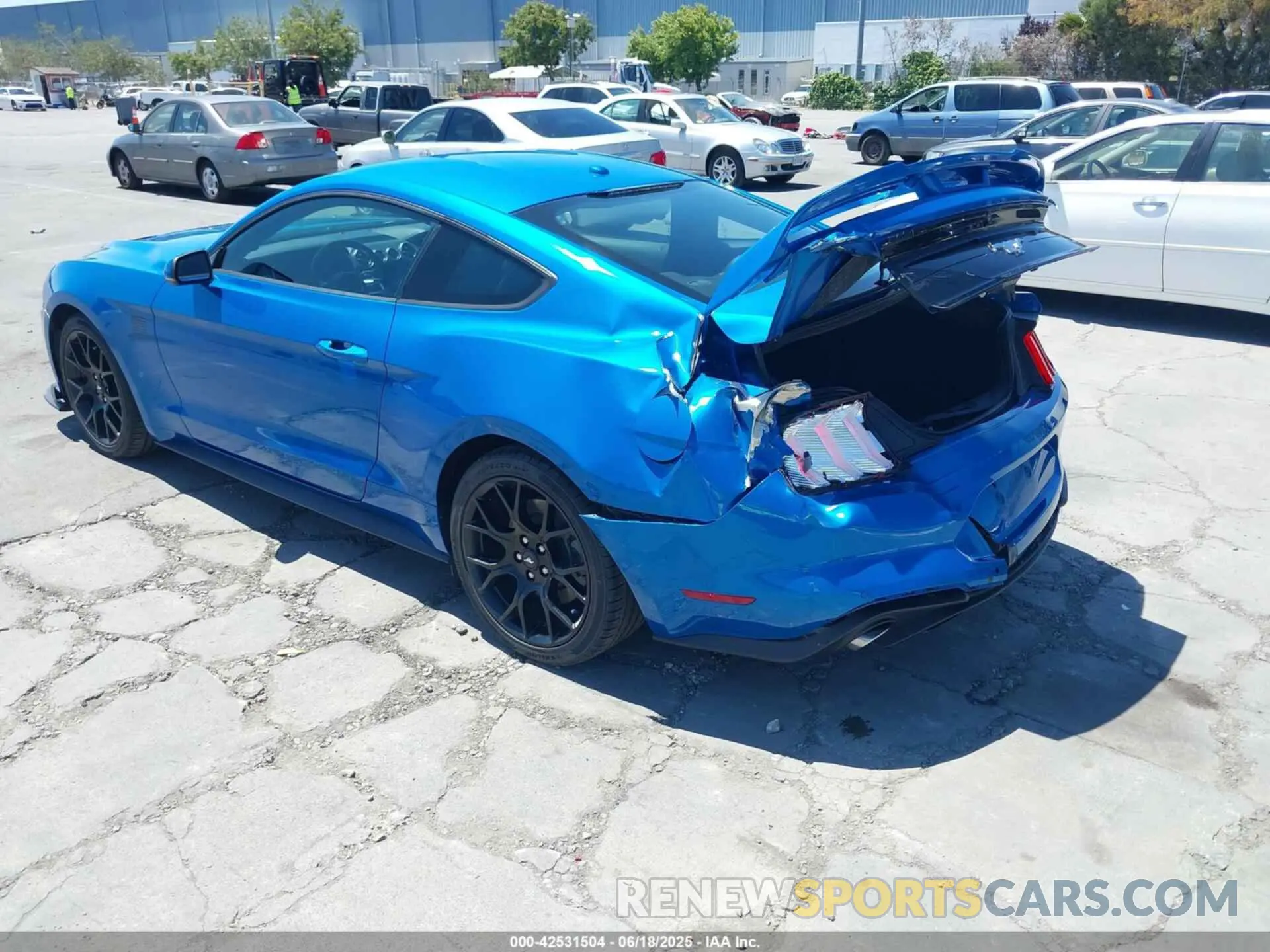 3 fotografías del automóvil dañado 1FA6P8TH7K5119181 FORD MUSTANG 2019