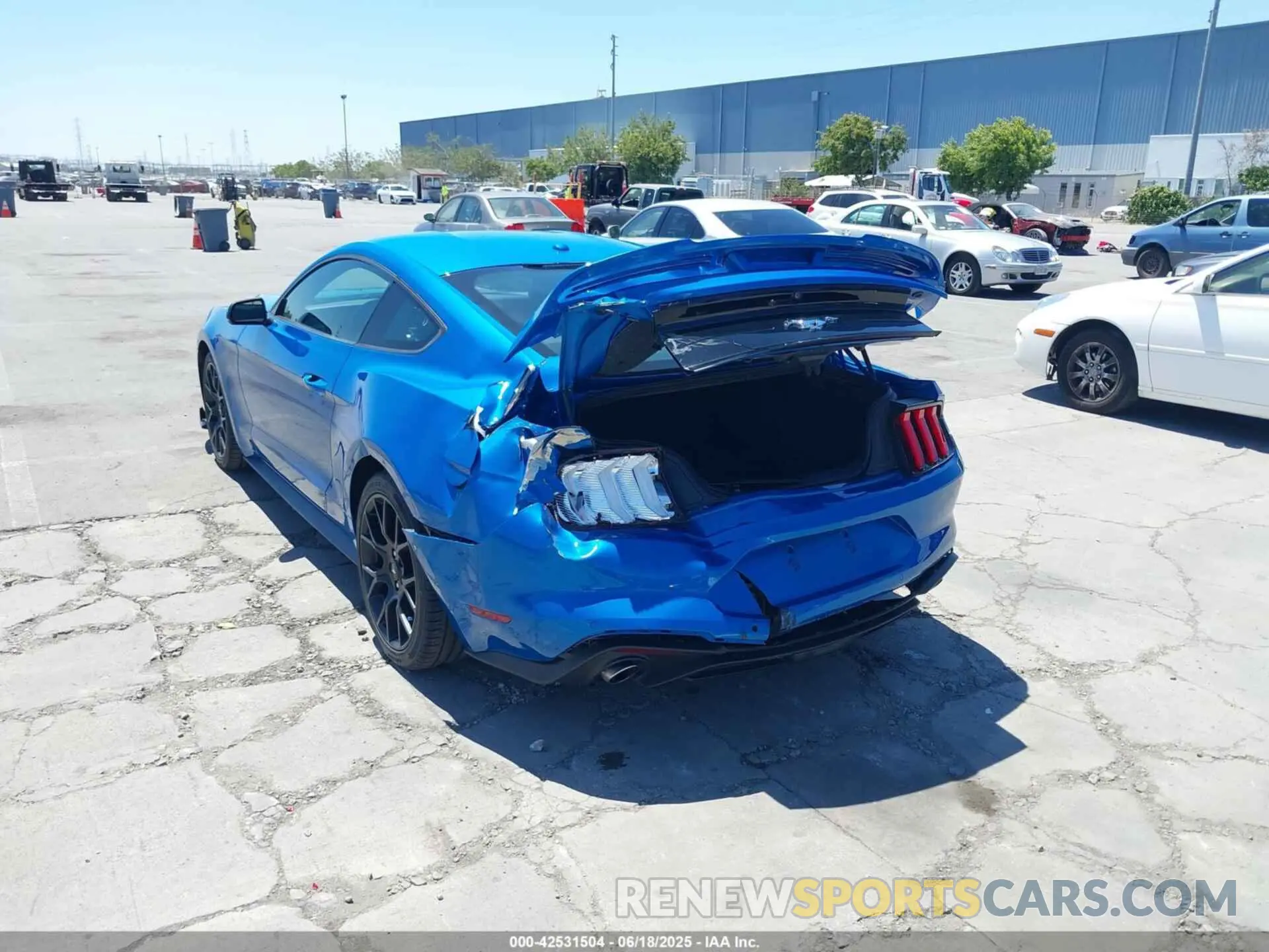 6 fotografías del automóvil dañado 1FA6P8TH7K5119181 FORD MUSTANG 2019