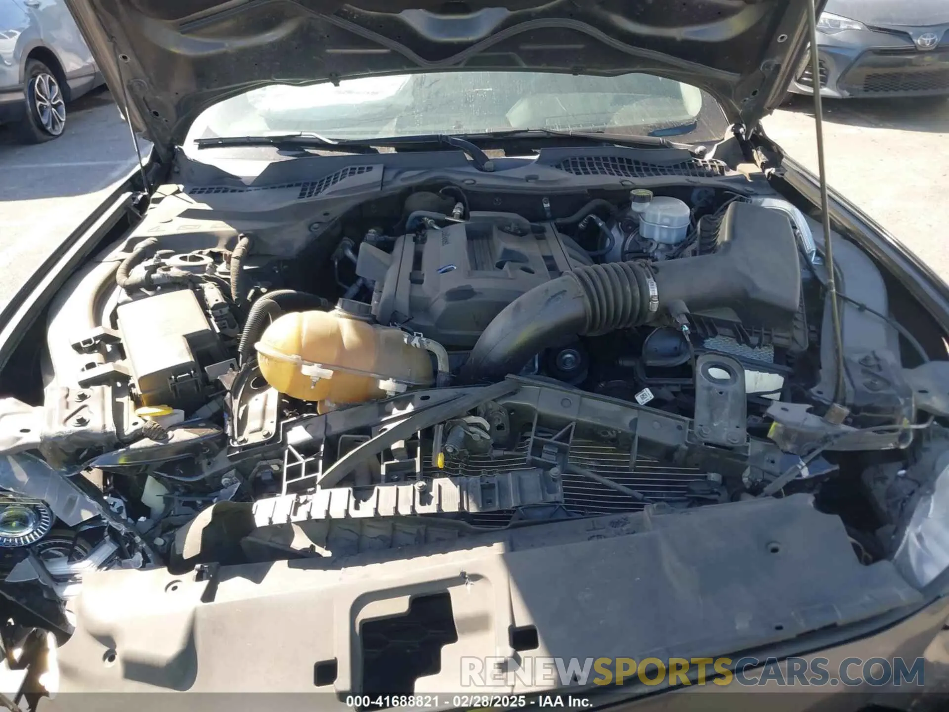 10 fotografías del automóvil dañado 1FA6P8TH8K5106195 FORD MUSTANG 2019