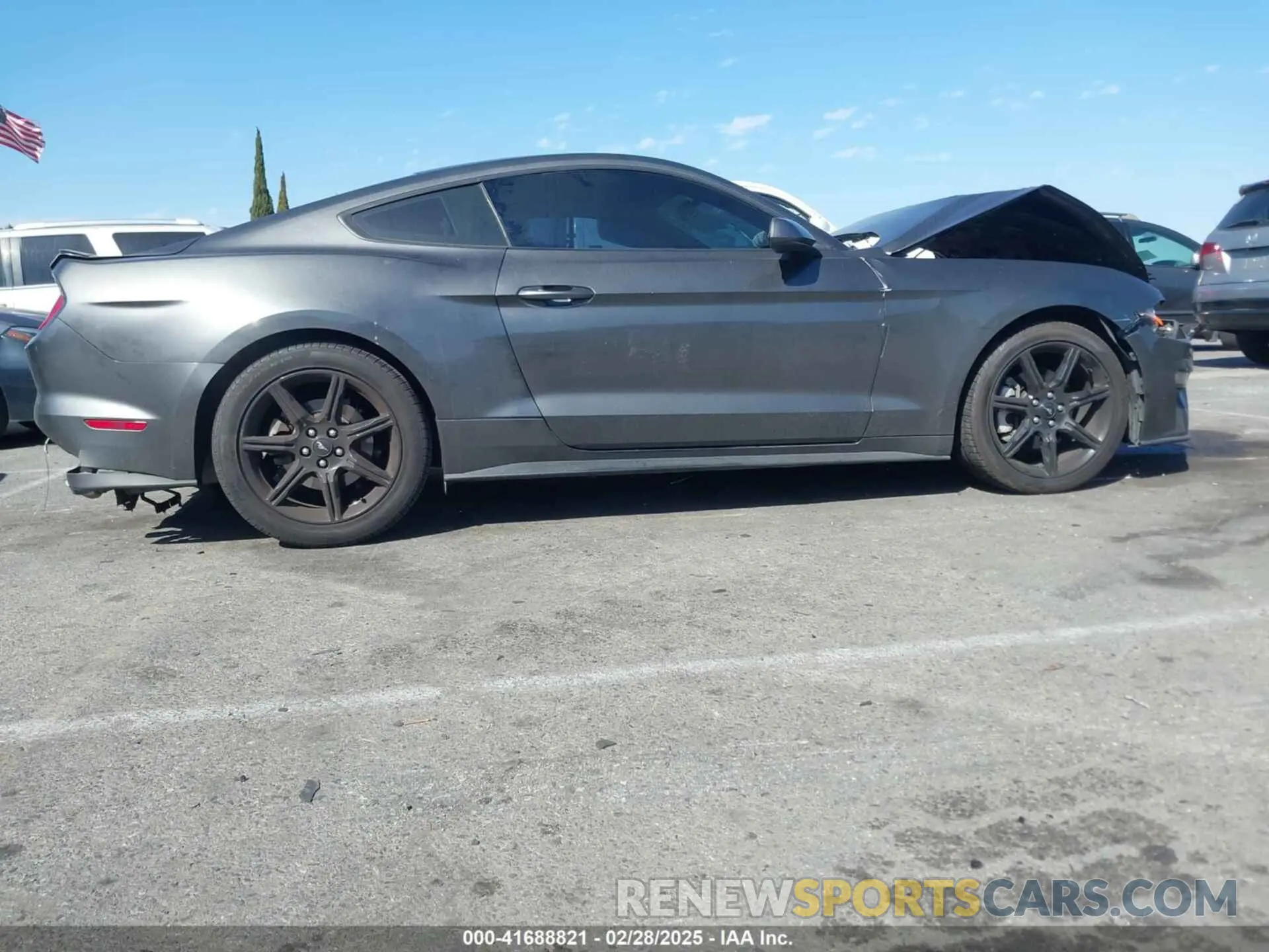 13 fotografías del automóvil dañado 1FA6P8TH8K5106195 FORD MUSTANG 2019