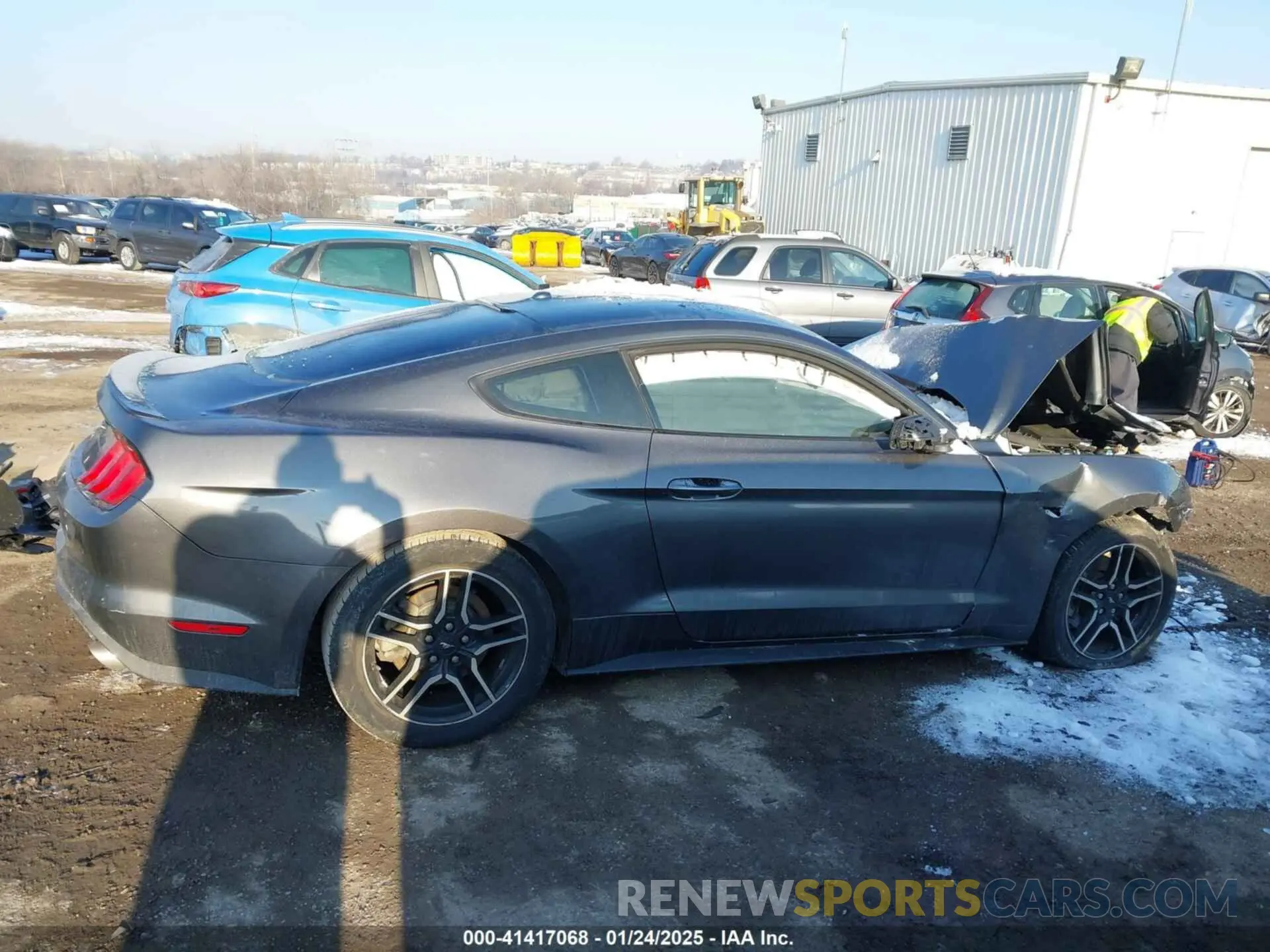 12 fotografías del automóvil dañado 1FA6P8TH8K5111588 FORD MUSTANG 2019
