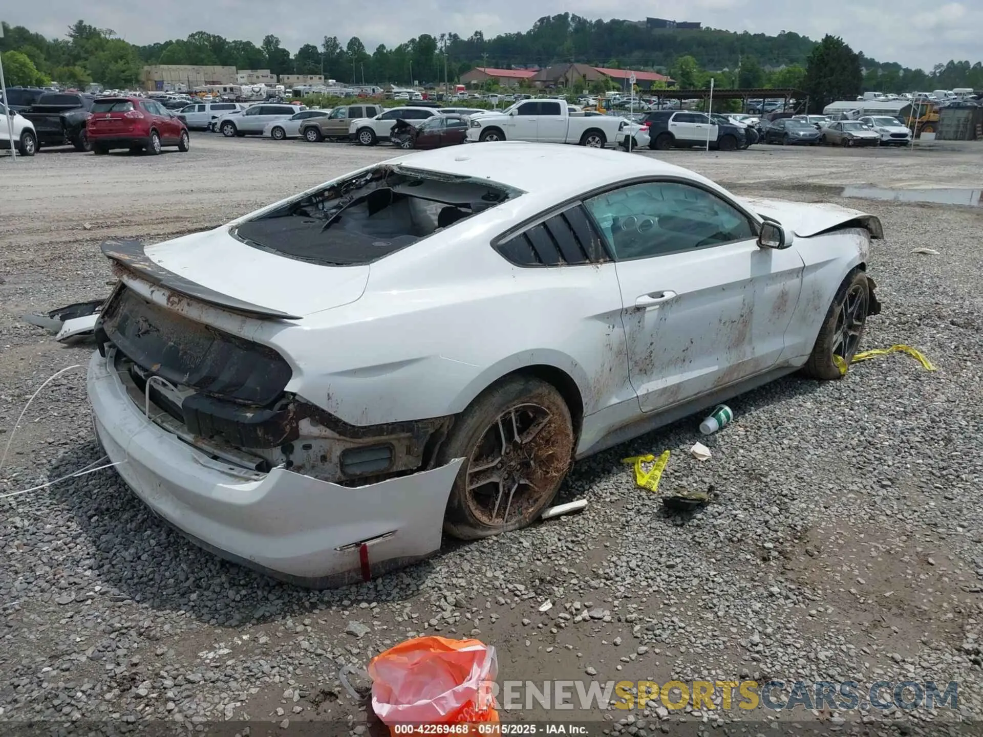 4 fotografías del automóvil dañado 1FA6P8TH8K5114605 FORD MUSTANG 2019