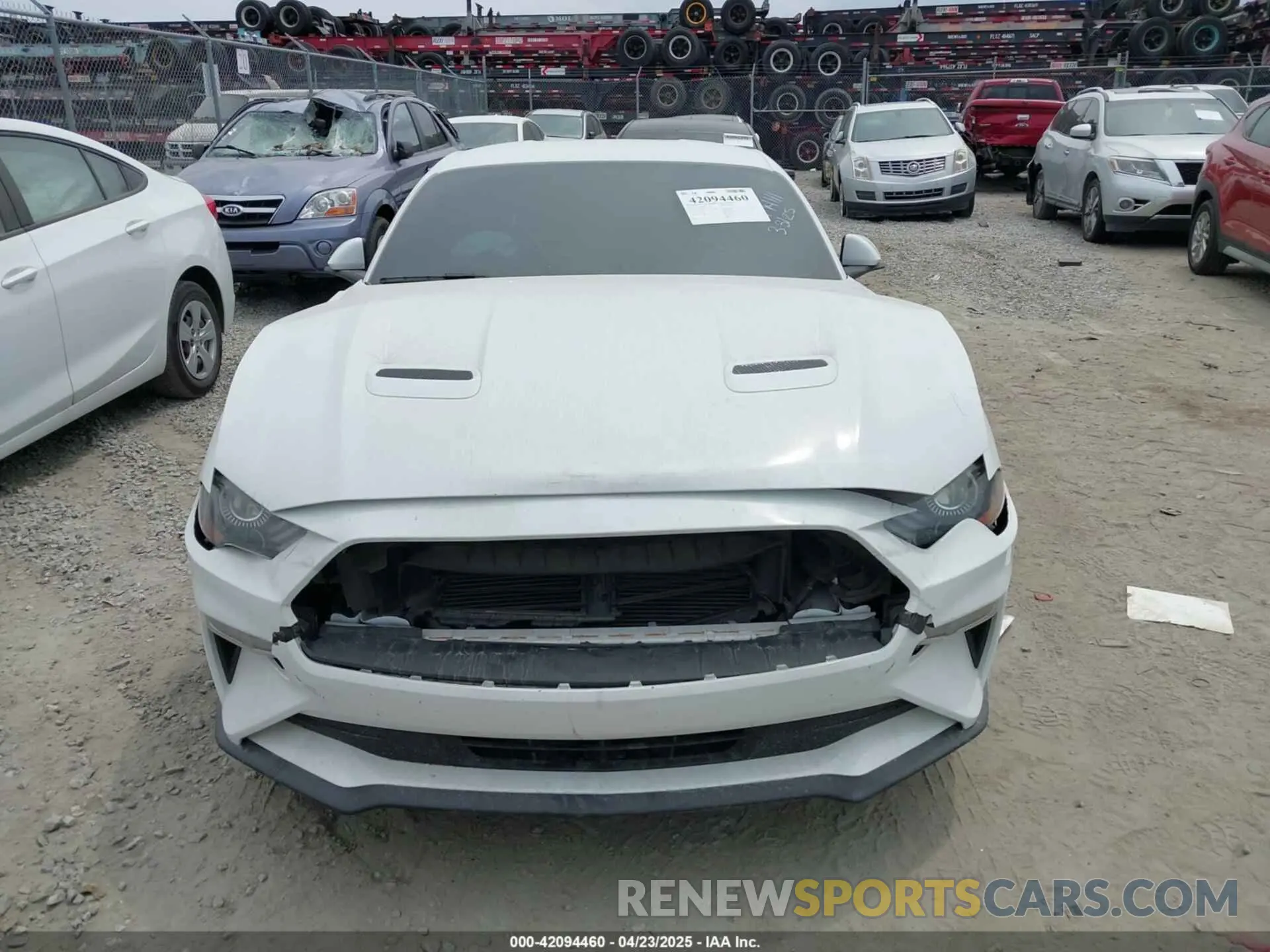 12 fotografías del automóvil dañado 1FA6P8TH8K5174111 FORD MUSTANG 2019