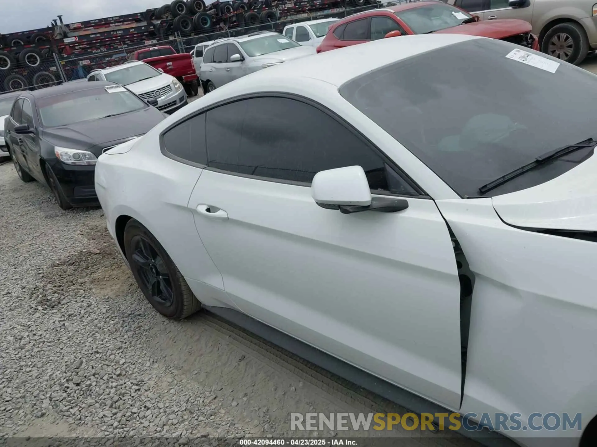 13 fotografías del automóvil dañado 1FA6P8TH8K5174111 FORD MUSTANG 2019