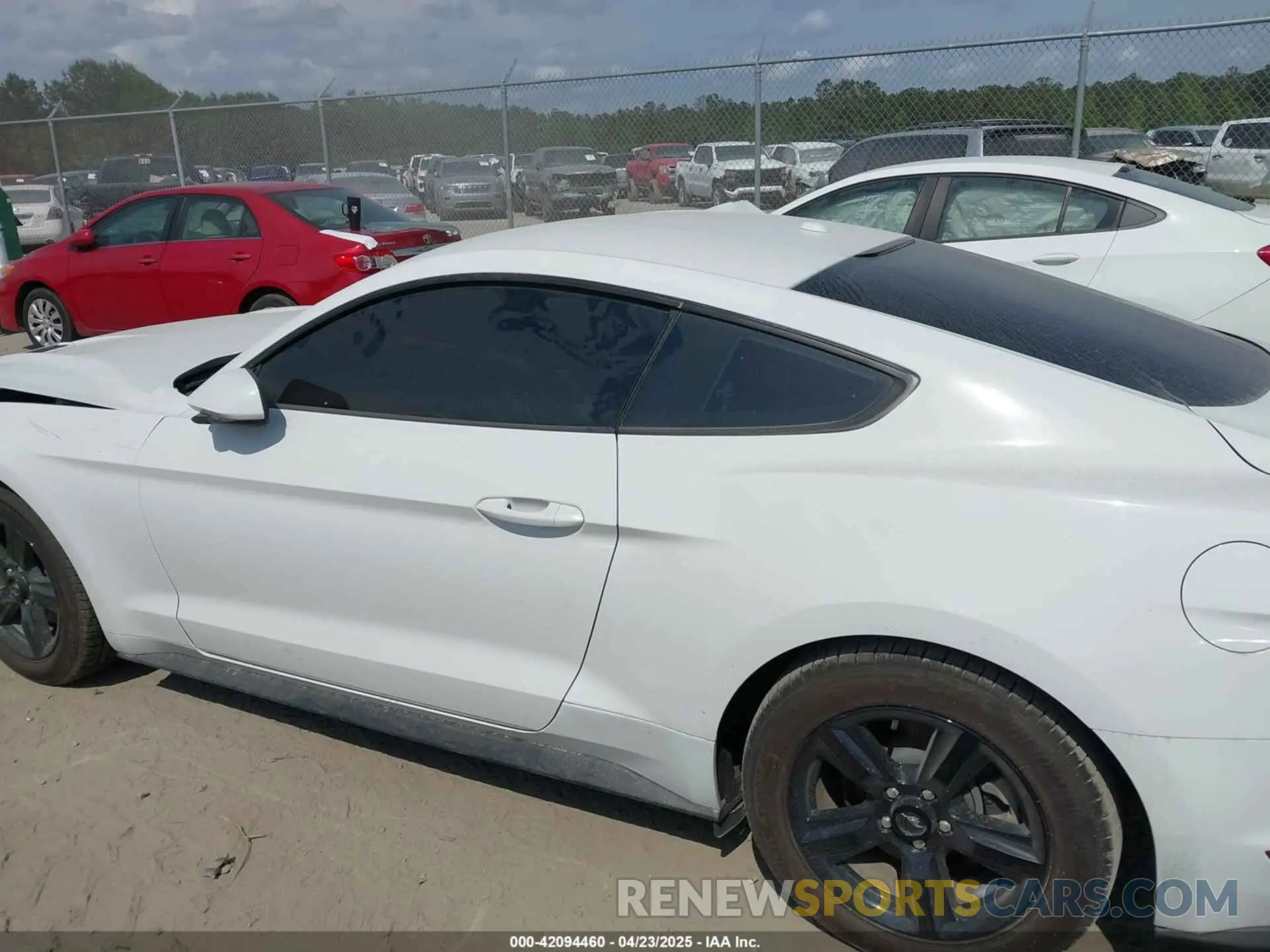 14 fotografías del automóvil dañado 1FA6P8TH8K5174111 FORD MUSTANG 2019