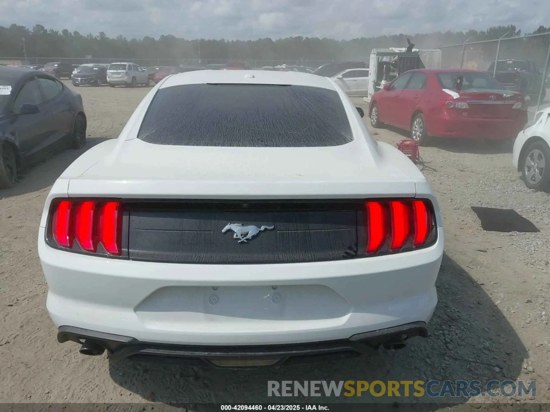 16 fotografías del automóvil dañado 1FA6P8TH8K5174111 FORD MUSTANG 2019