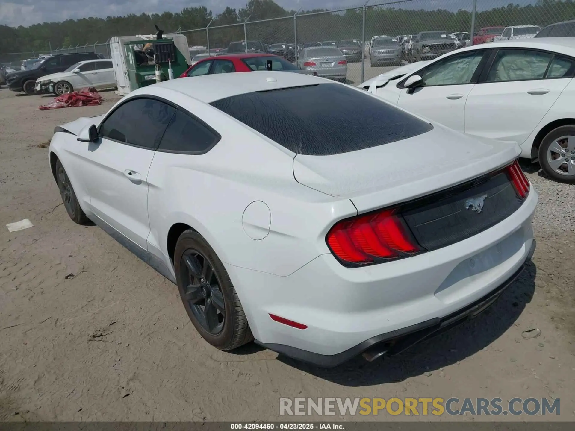 3 fotografías del automóvil dañado 1FA6P8TH8K5174111 FORD MUSTANG 2019