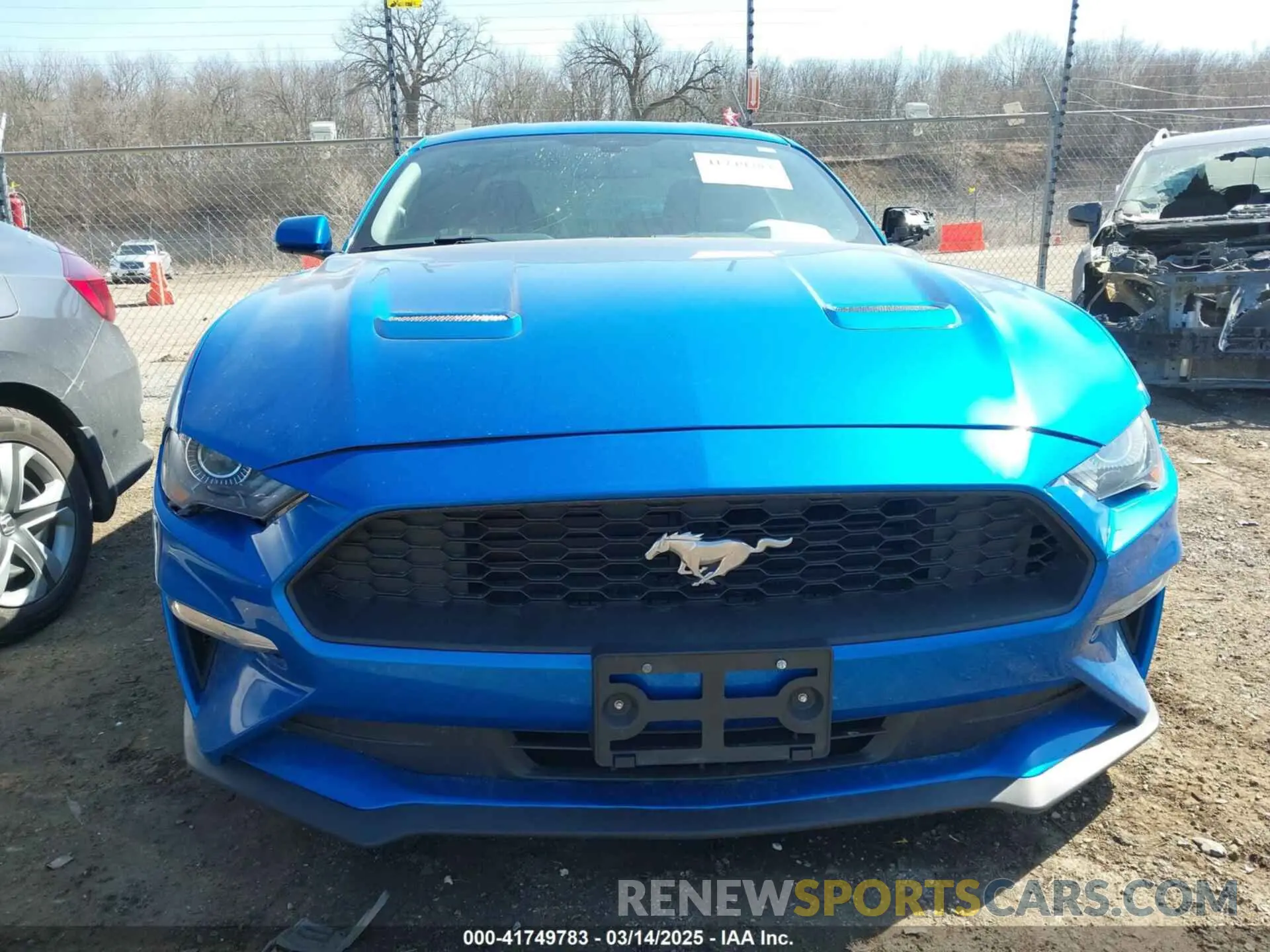 12 fotografías del automóvil dañado 1FA6P8TH8K5185206 FORD MUSTANG 2019