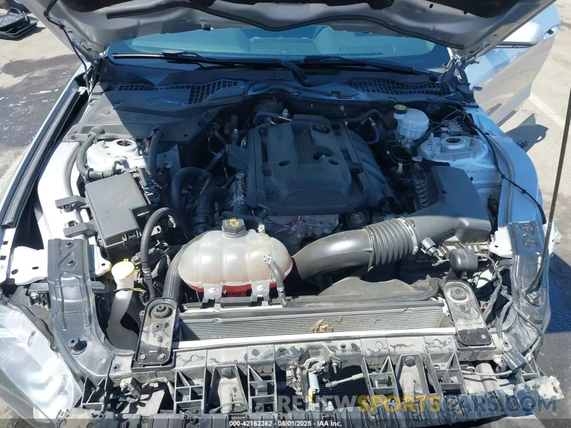 10 fotografías del automóvil dañado 1FA6P8TH8K5194620 FORD MUSTANG 2019