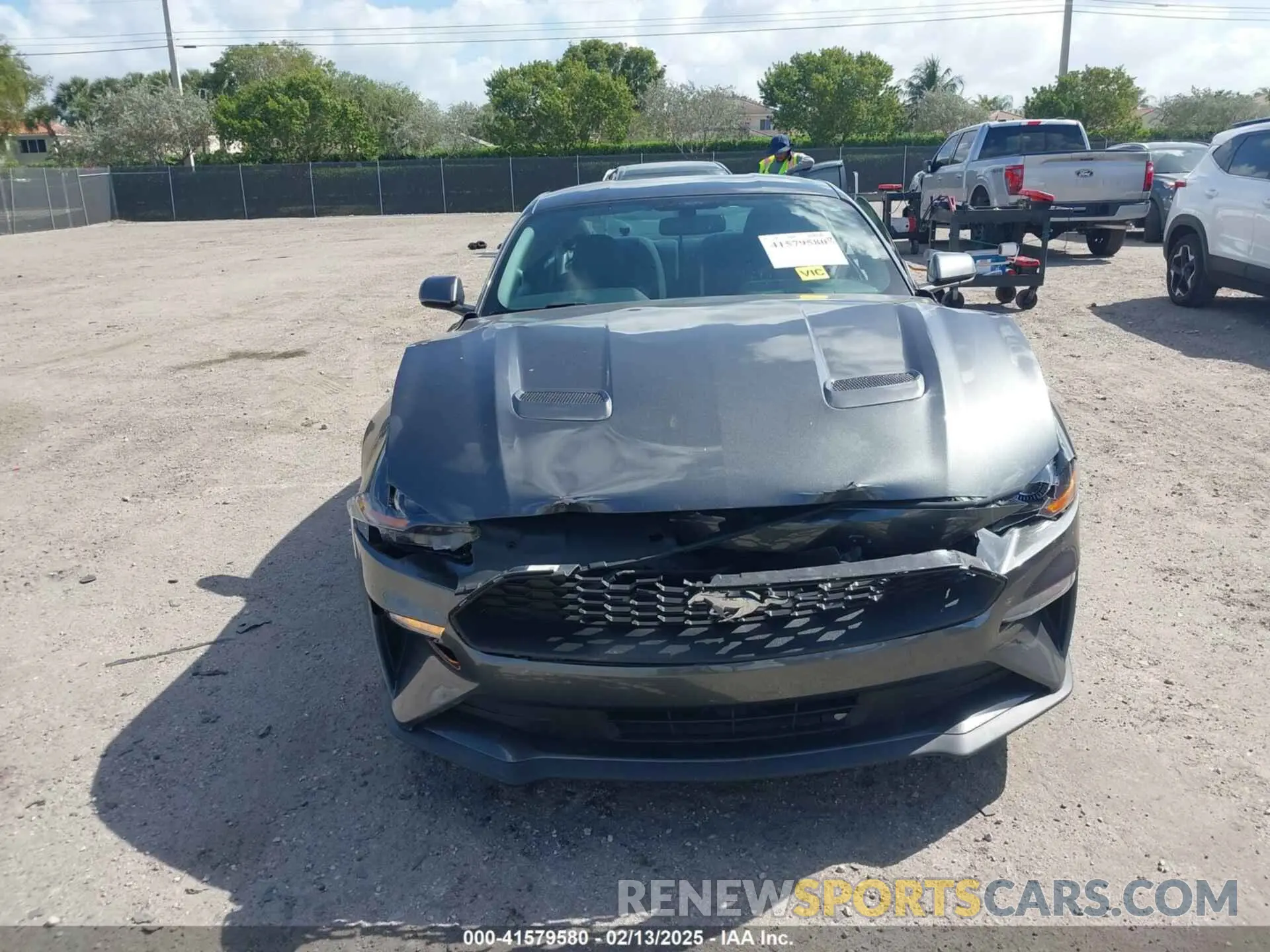 12 fotografías del automóvil dañado 1FA6P8TH9K5176353 FORD MUSTANG 2019