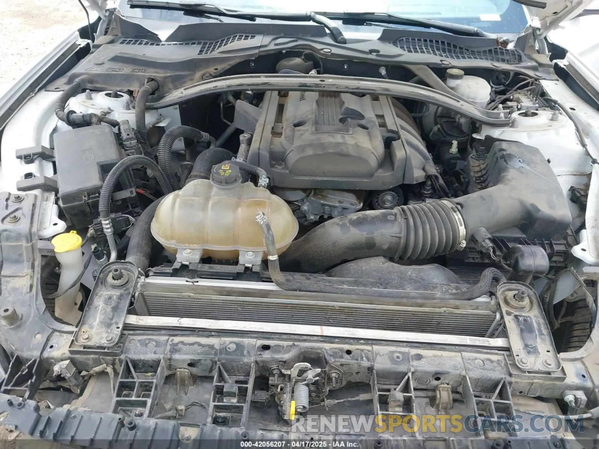 10 fotografías del automóvil dañado 1FA6P8THXK5143703 FORD MUSTANG 2019