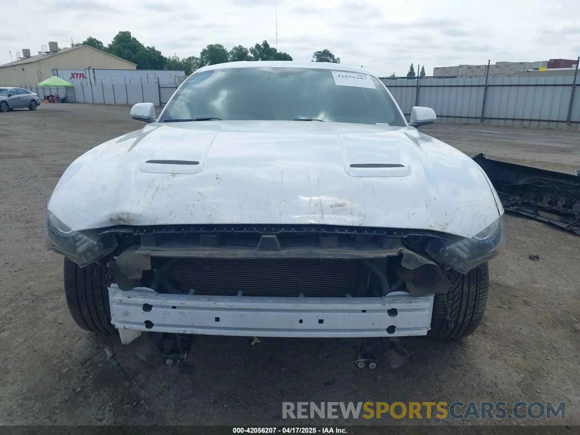 13 fotografías del automóvil dañado 1FA6P8THXK5143703 FORD MUSTANG 2019