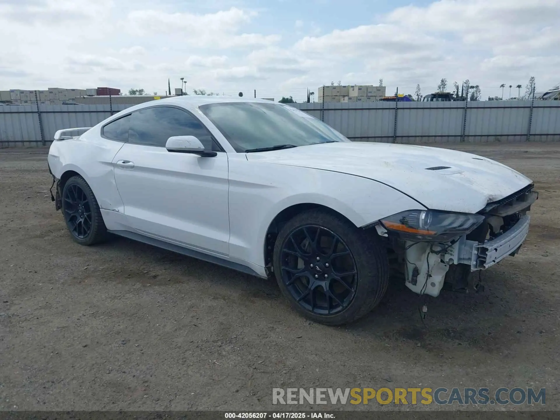 14 fotografías del automóvil dañado 1FA6P8THXK5143703 FORD MUSTANG 2019