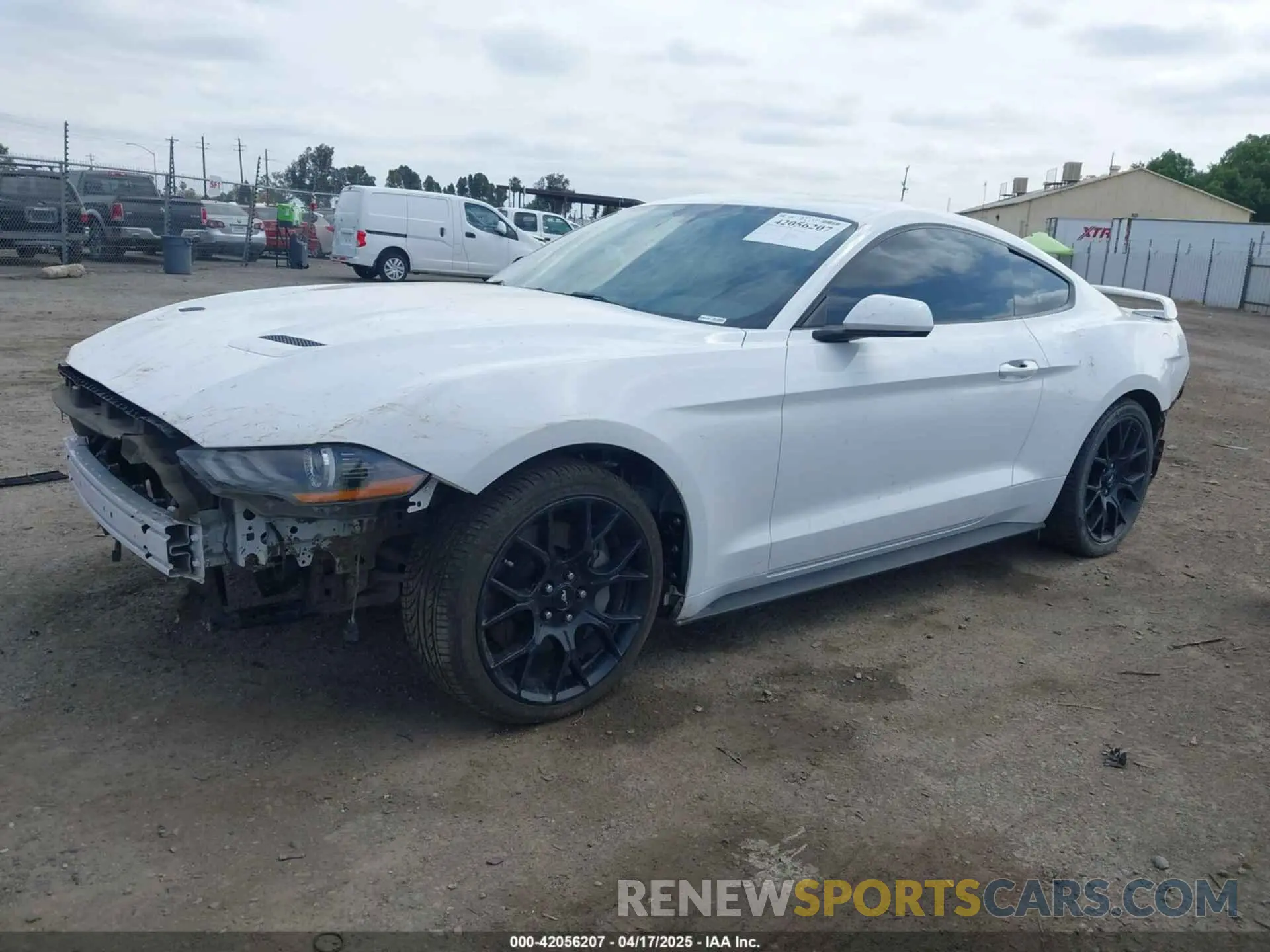 15 fotografías del automóvil dañado 1FA6P8THXK5143703 FORD MUSTANG 2019