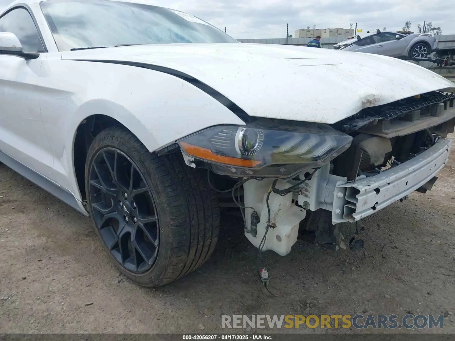 18 fotografías del automóvil dañado 1FA6P8THXK5143703 FORD MUSTANG 2019