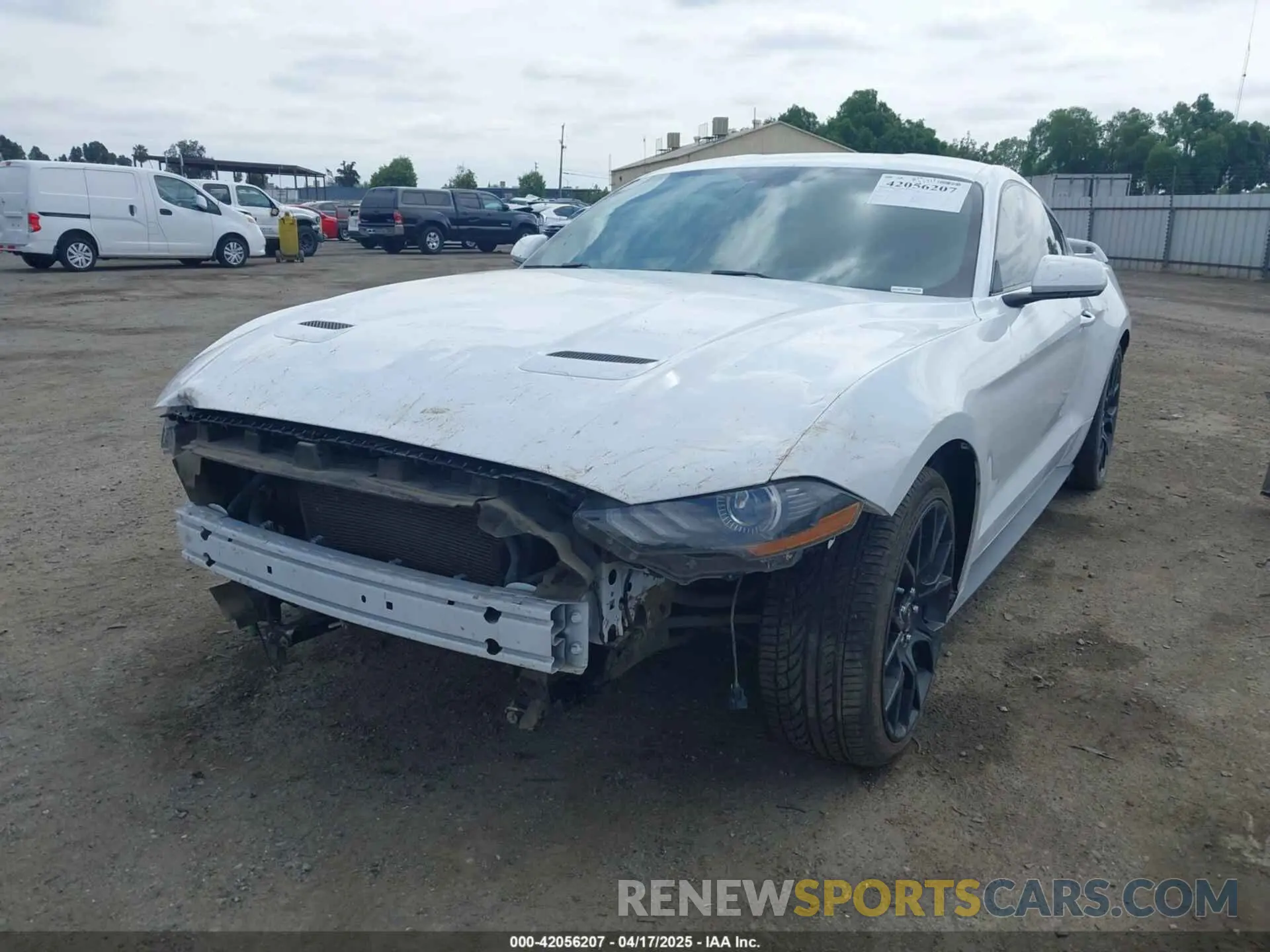 2 fotografías del automóvil dañado 1FA6P8THXK5143703 FORD MUSTANG 2019