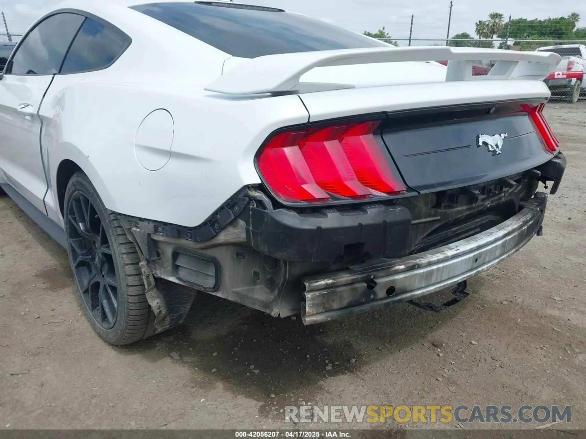 21 fotografías del automóvil dañado 1FA6P8THXK5143703 FORD MUSTANG 2019