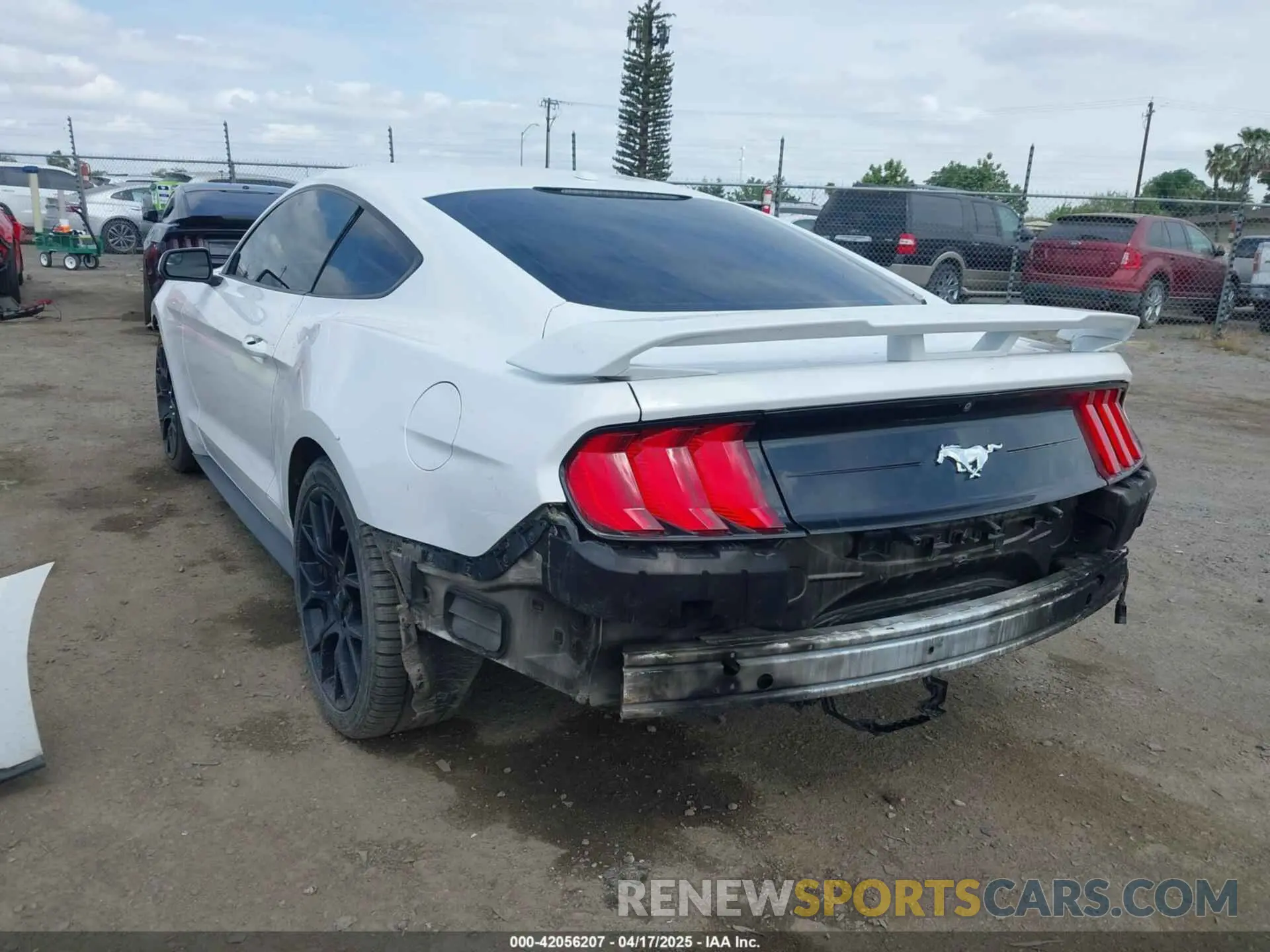 3 fotografías del automóvil dañado 1FA6P8THXK5143703 FORD MUSTANG 2019