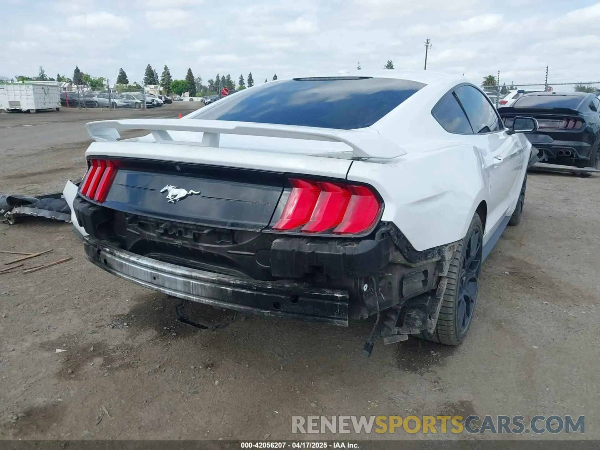 4 fotografías del automóvil dañado 1FA6P8THXK5143703 FORD MUSTANG 2019