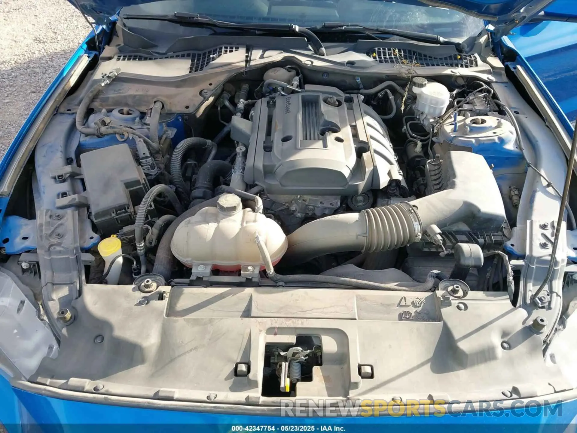 10 fotografías del automóvil dañado 1FA6P8THXK5185806 FORD MUSTANG 2019