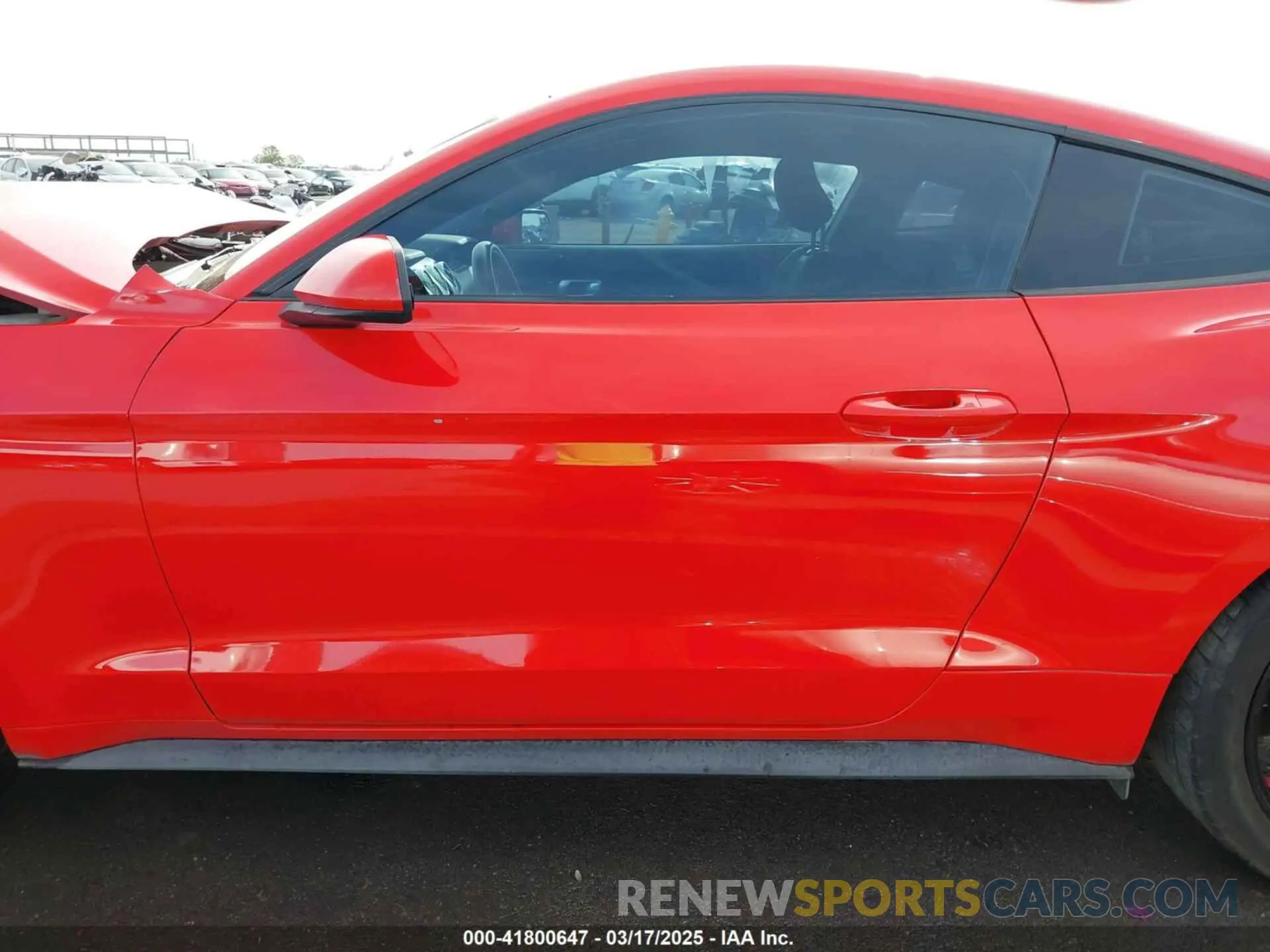 14 fotografías del automóvil dañado 1FA6P8THXK5196692 FORD MUSTANG 2019