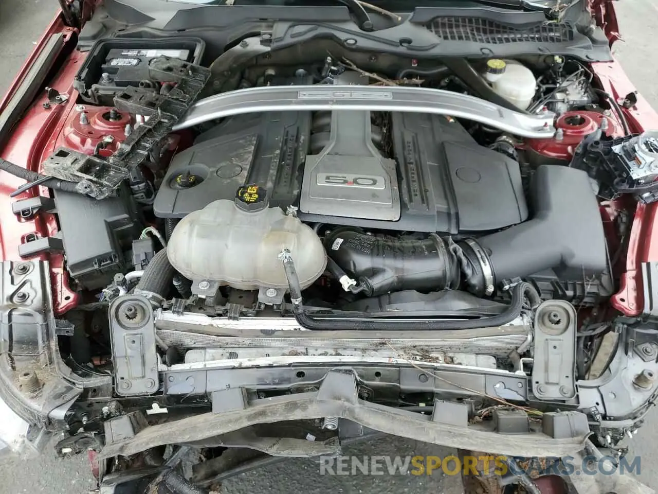 11 fotografías del automóvil dañado 1FATP8FF4K5193350 FORD MUSTANG 2019