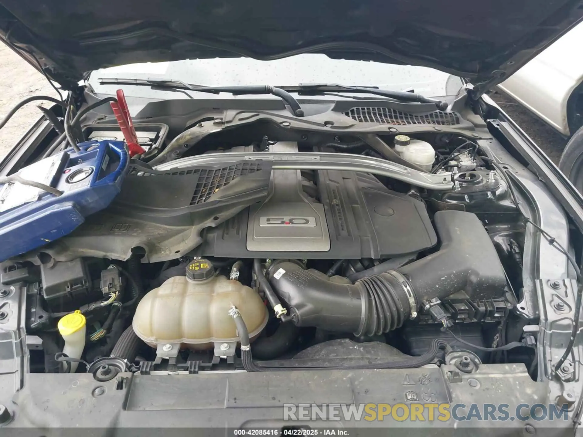10 fotografías del automóvil dañado 1FATP8FF8K5202115 FORD MUSTANG 2019