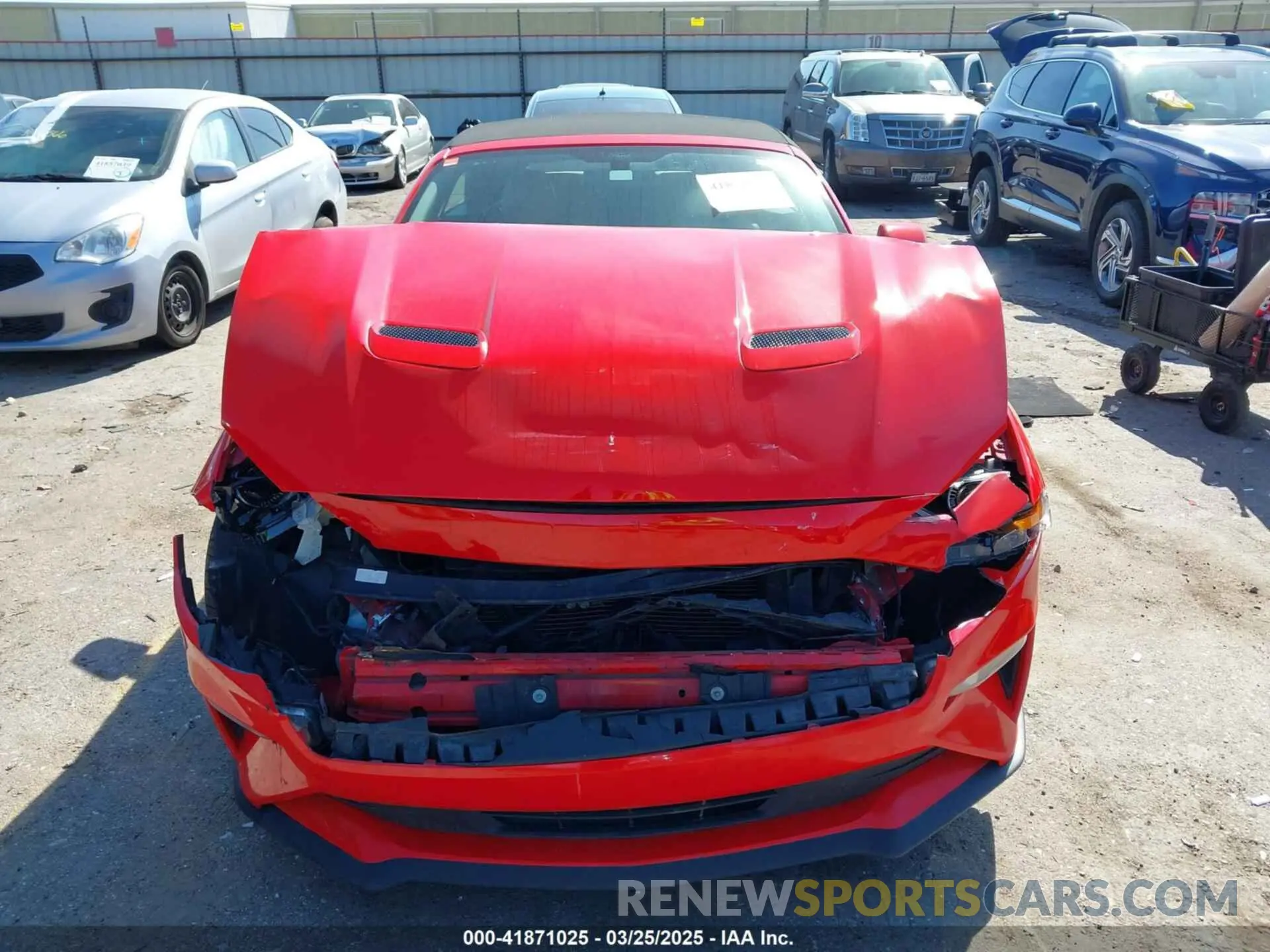 12 fotografías del automóvil dañado 1FATP8UH4K5121164 FORD MUSTANG 2019