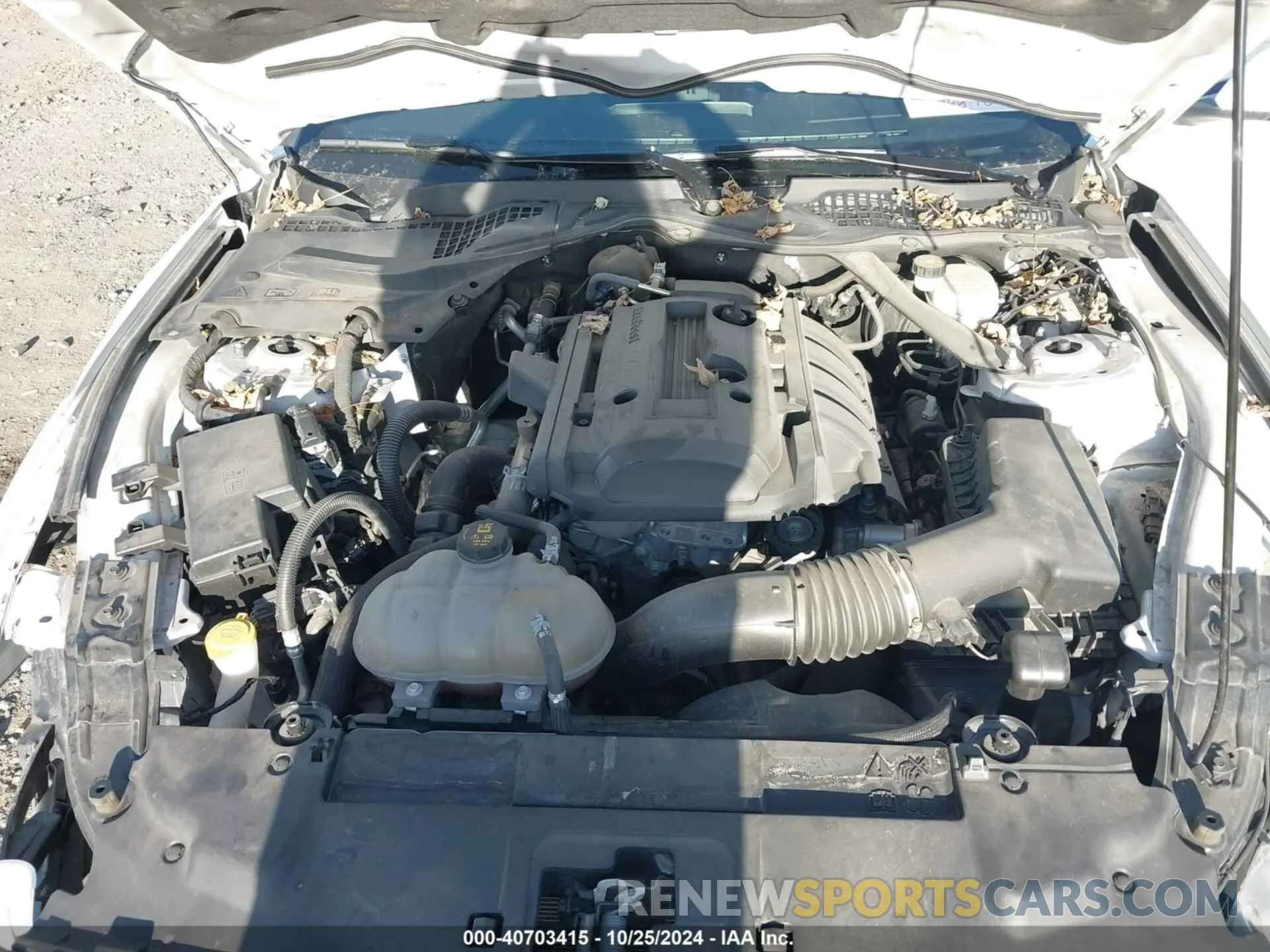 10 fotografías del automóvil dañado 1FATP8UH4K5188380 FORD MUSTANG 2019
