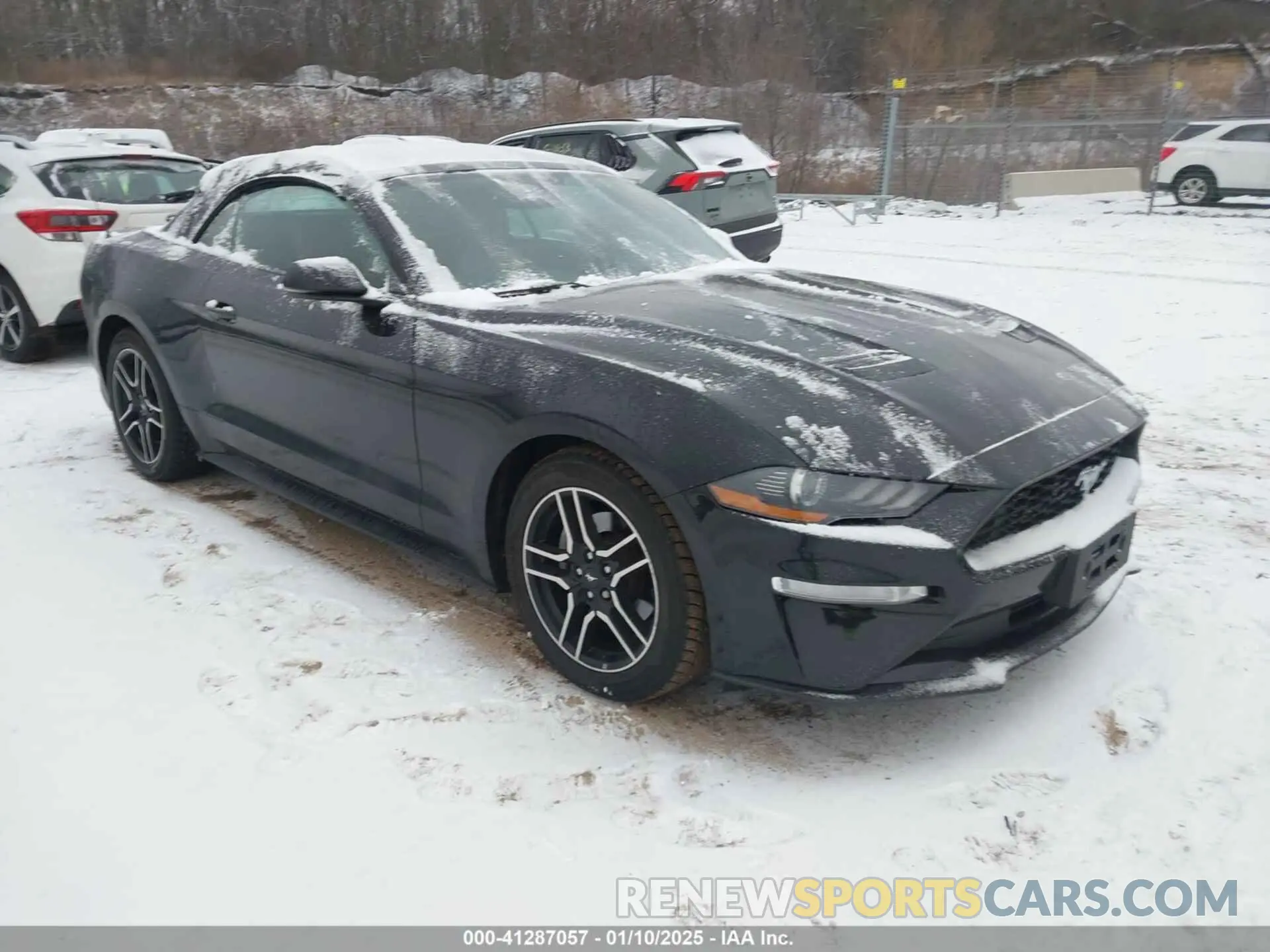 1 fotografías del automóvil dañado 1FATP8UH6K5109632 FORD MUSTANG 2019