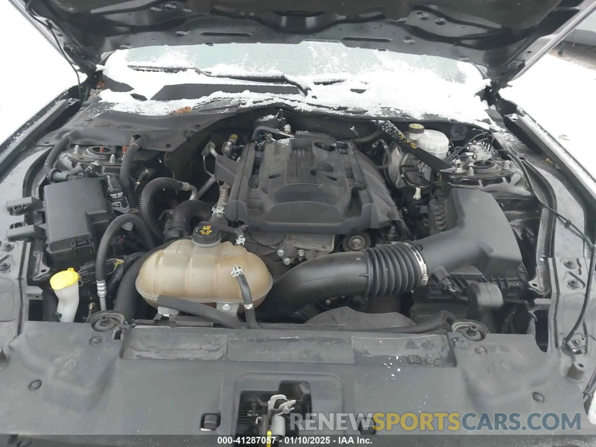 10 fotografías del automóvil dañado 1FATP8UH6K5109632 FORD MUSTANG 2019