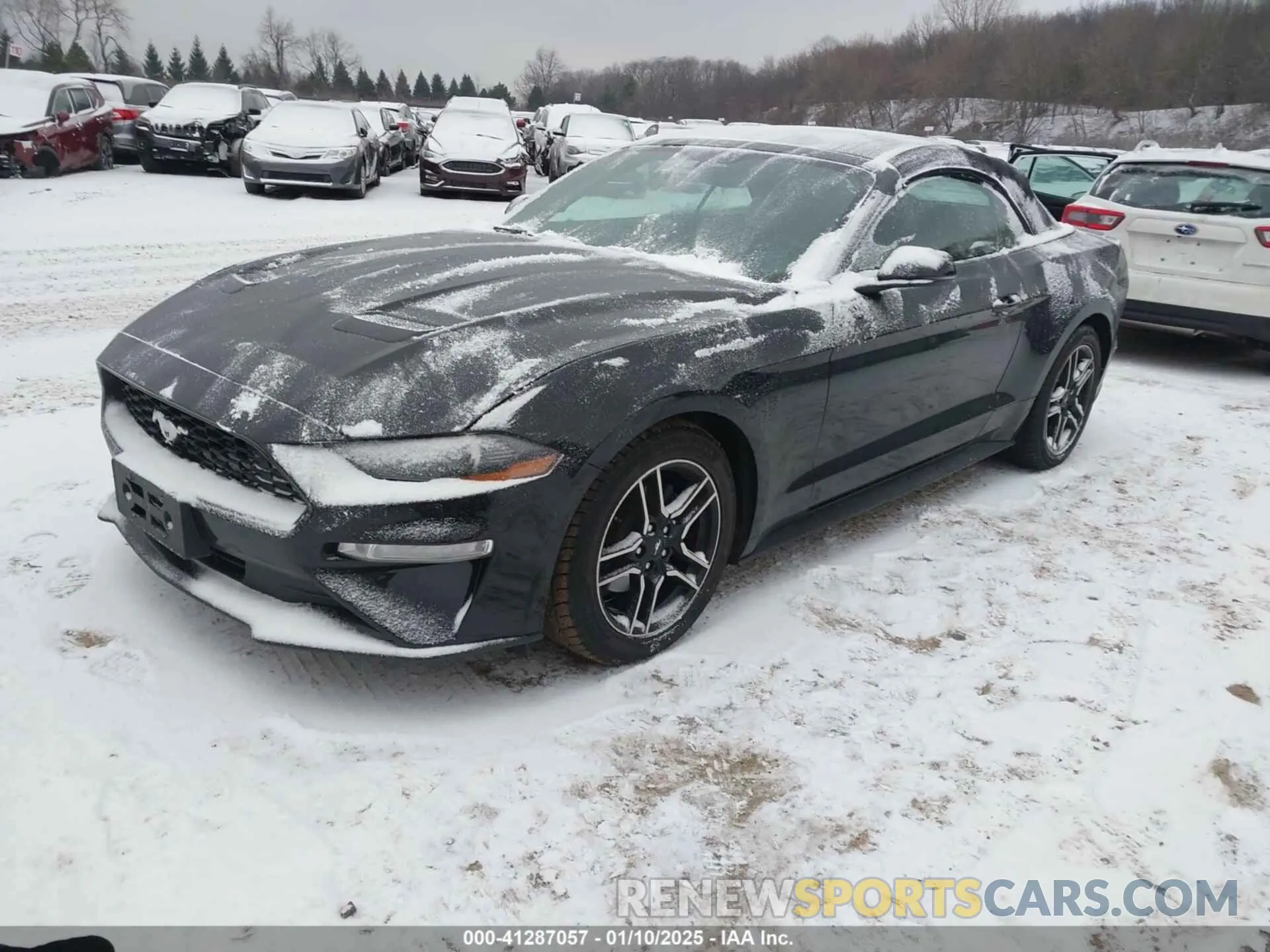 2 fotografías del automóvil dañado 1FATP8UH6K5109632 FORD MUSTANG 2019