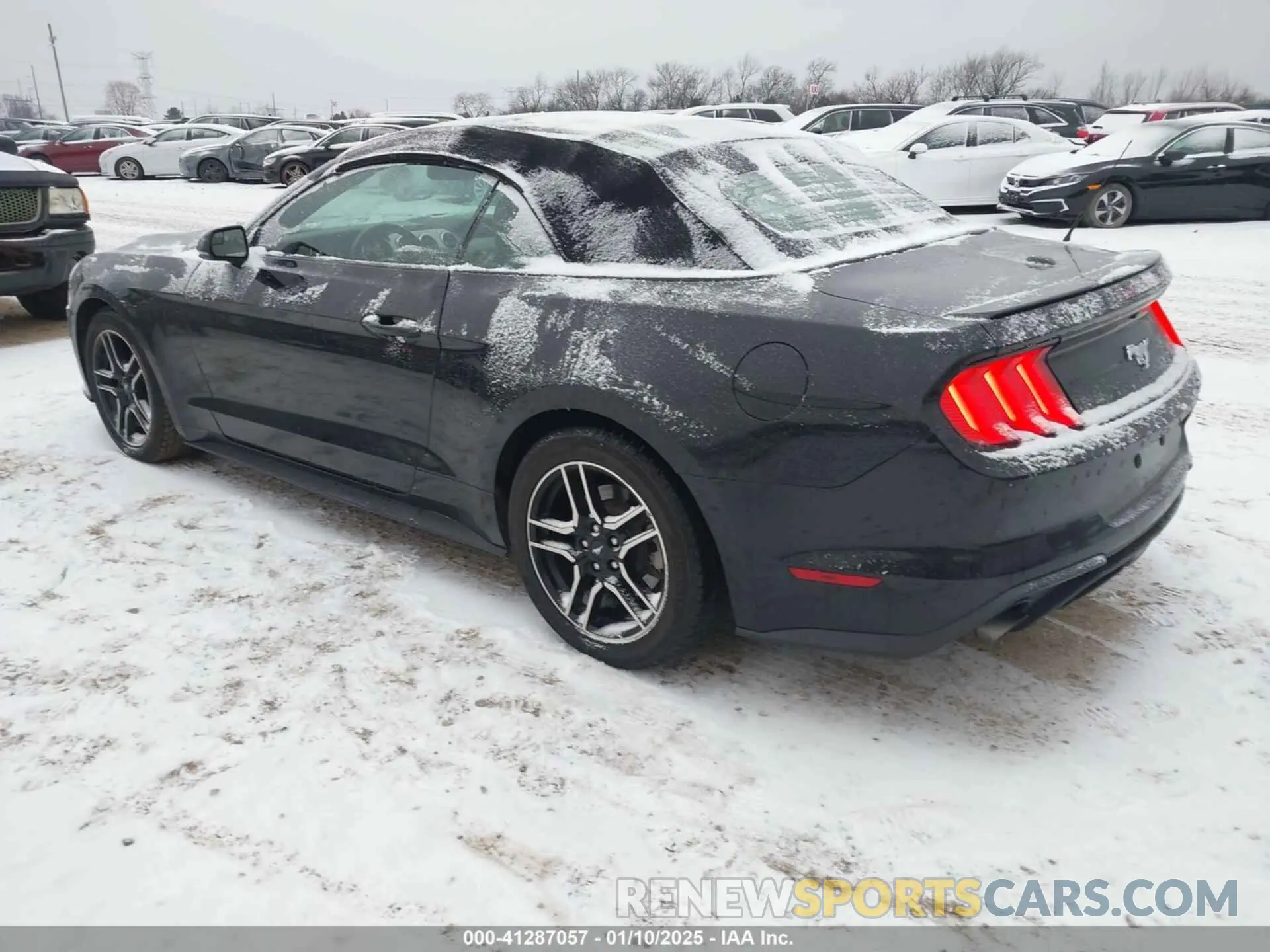 3 fotografías del automóvil dañado 1FATP8UH6K5109632 FORD MUSTANG 2019