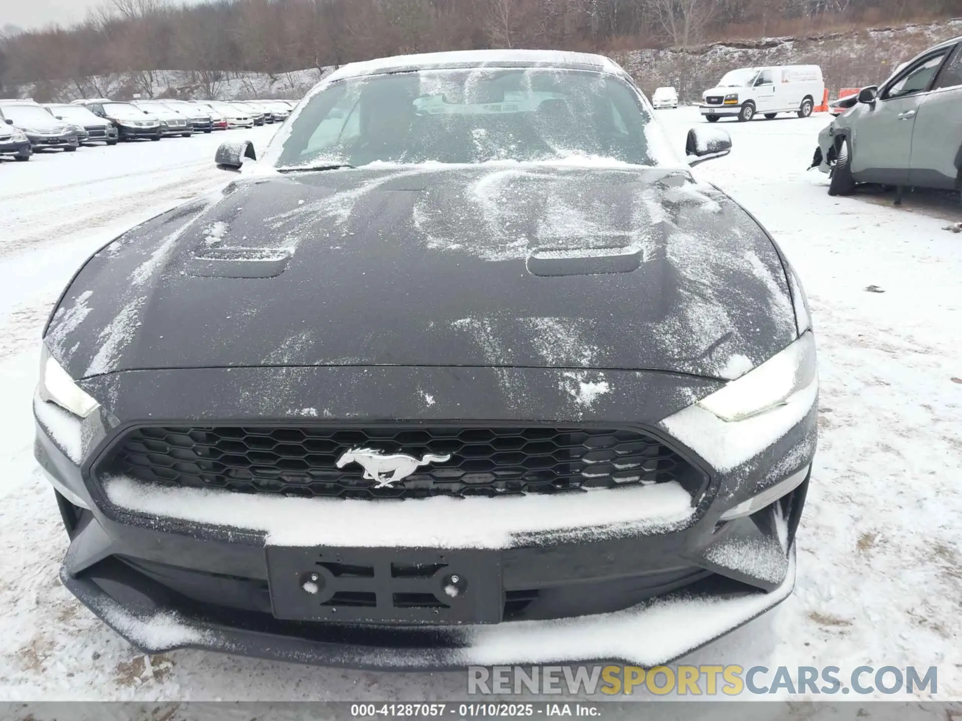 6 fotografías del automóvil dañado 1FATP8UH6K5109632 FORD MUSTANG 2019