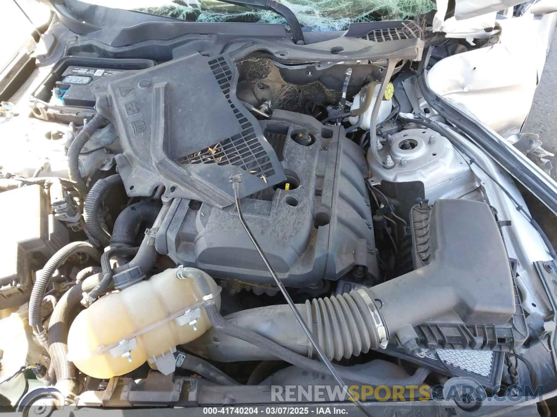 10 fotografías del automóvil dañado 1FATP8UH9K5193087 FORD MUSTANG 2019