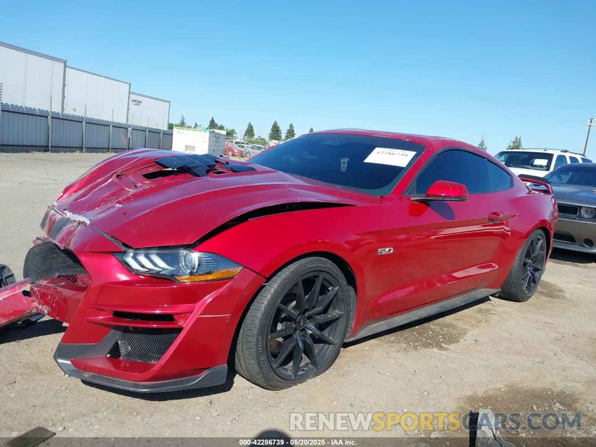14 fotografías del automóvil dañado 1FA6P8CF2L5177375 FORD MUSTANG 2020