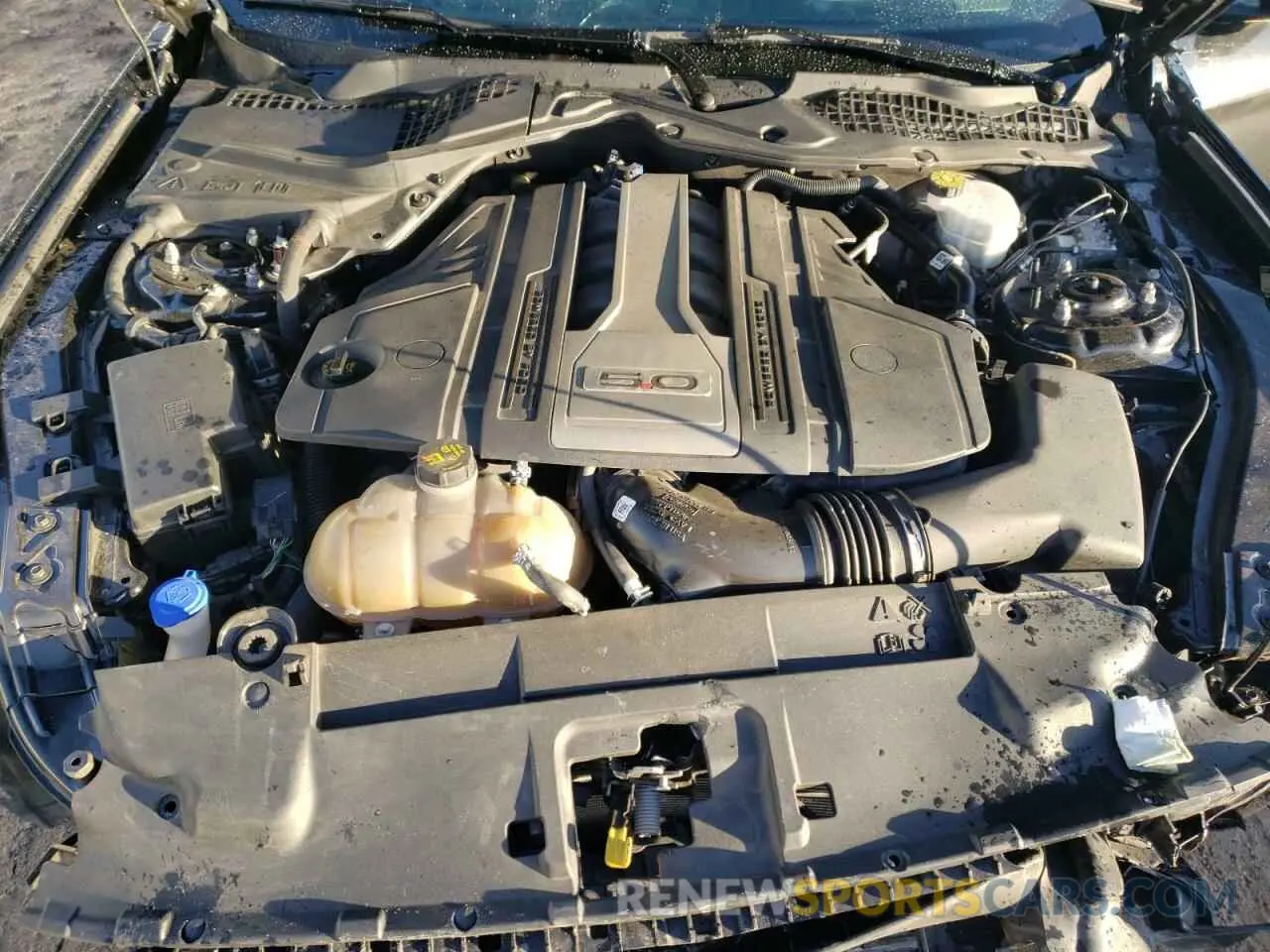12 fotografías del automóvil dañado 1FA6P8CF6L5126557 FORD MUSTANG 2020
