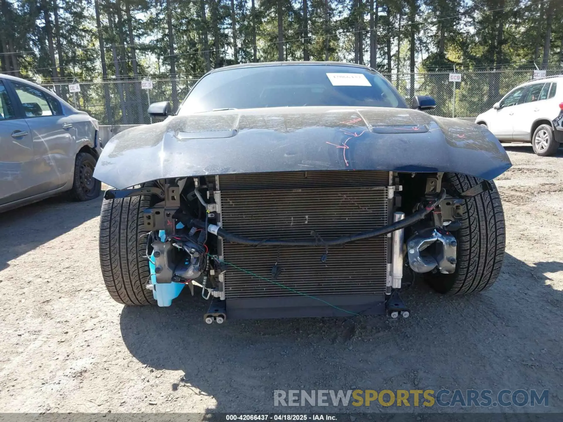 6 fotografías del automóvil dañado 1FA6P8CF9L5163585 FORD MUSTANG 2020