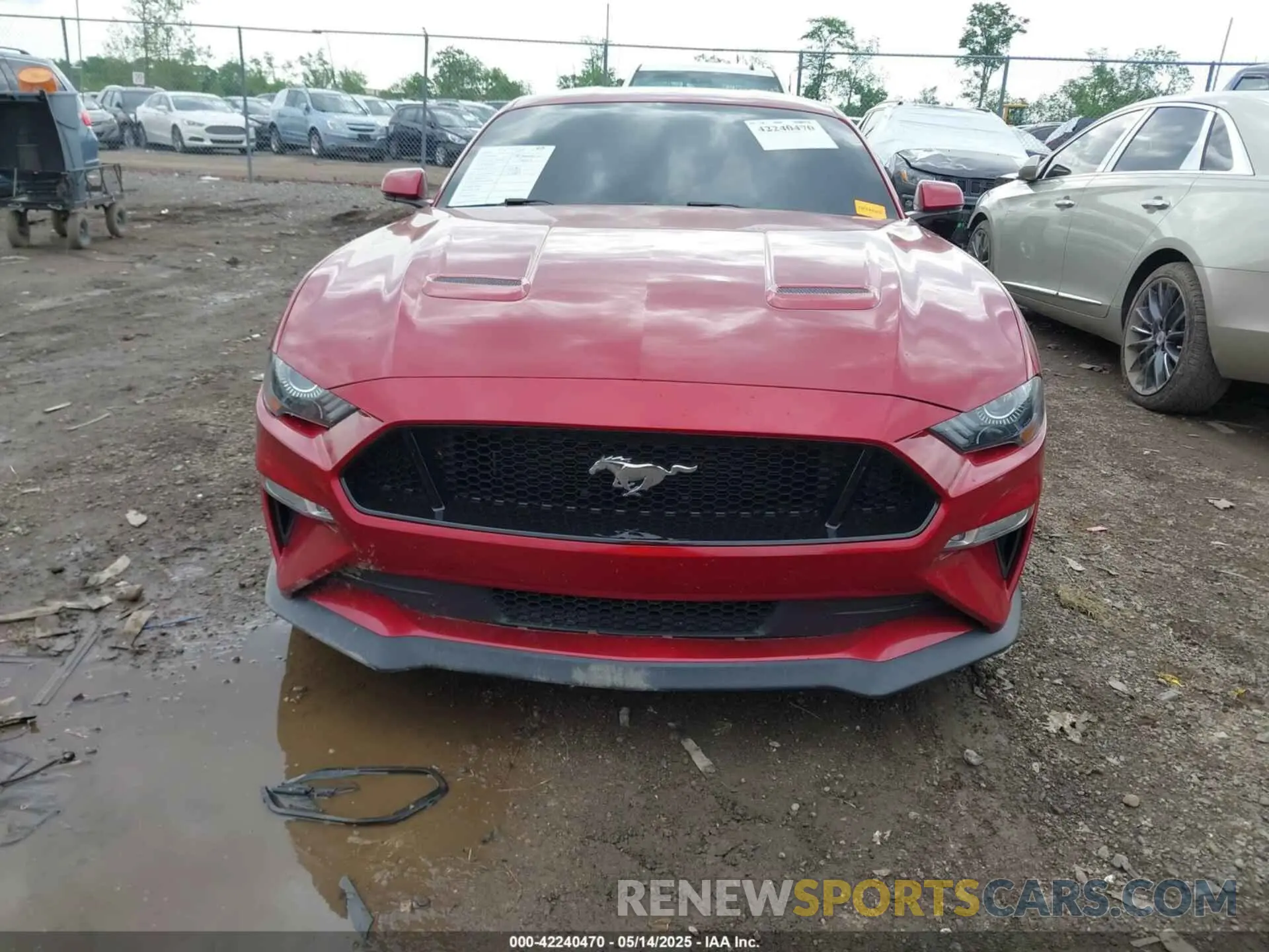 12 fotografías del automóvil dañado 1FA6P8CF9L5169550 FORD MUSTANG 2020