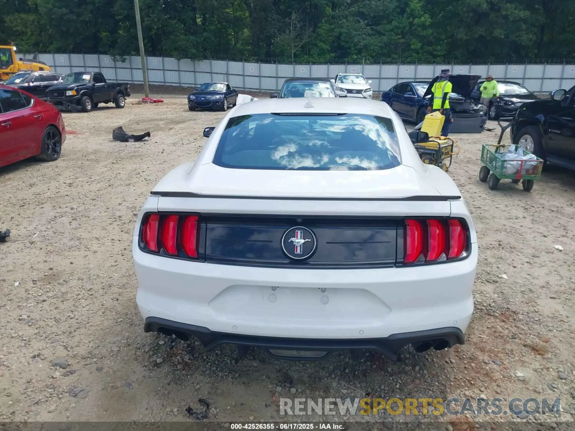 16 fotografías del automóvil dañado 1FA6P8TD1L5187913 FORD MUSTANG 2020
